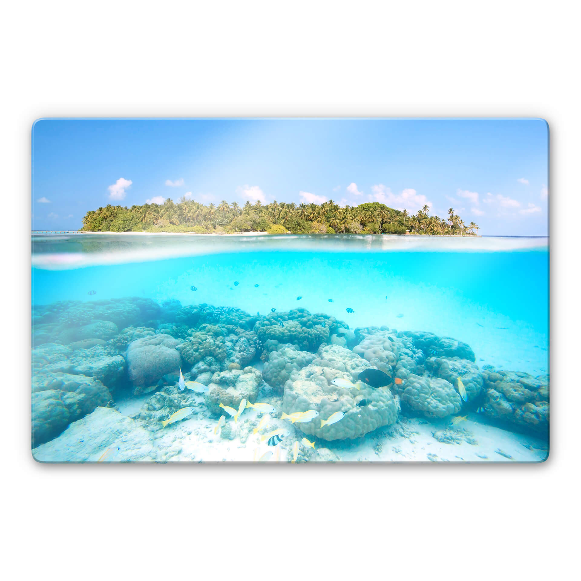 Tableau en verre Colombo - Le monde sous-marin aux Maldives.
