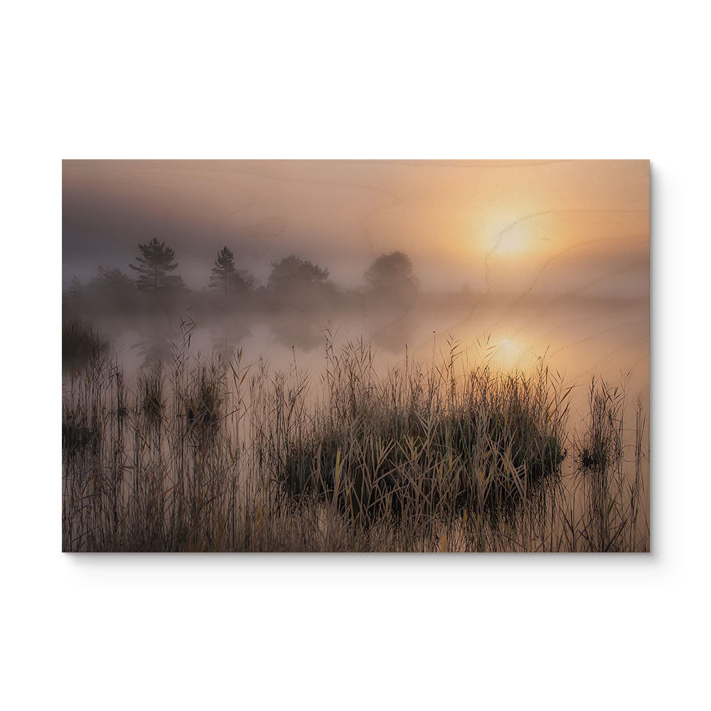 Quadro in legno Giornata autunnale di nebbia - Eisenmann