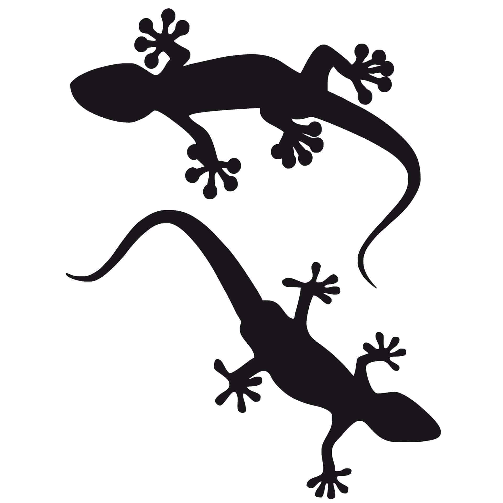 Wallsticker Gekko 2