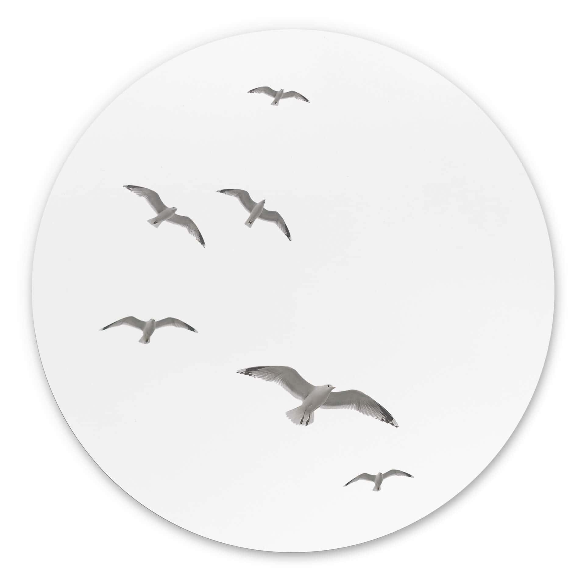 Tableau sur alu-Dibond rond Mouettes dans le ciel