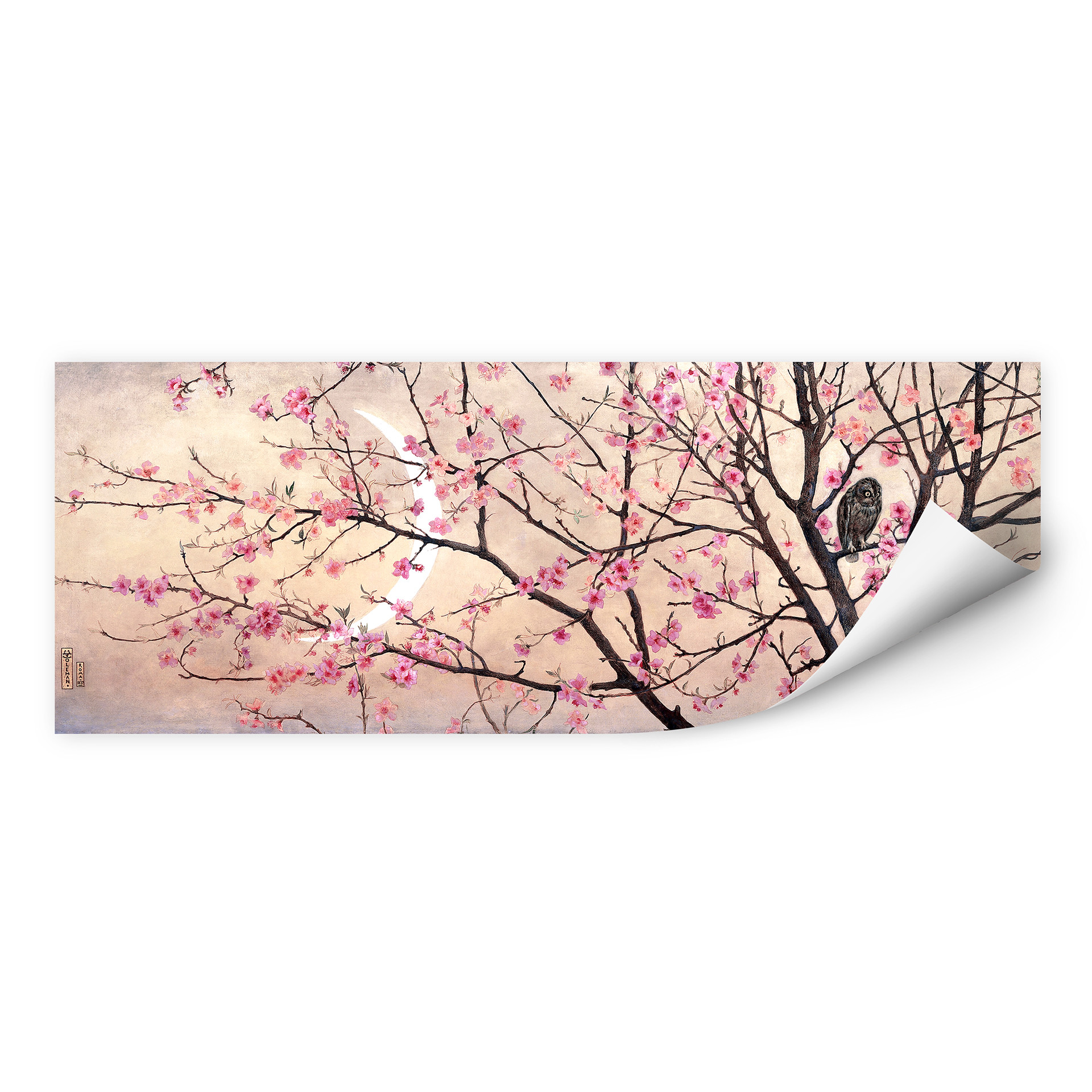 Wallprint W - Coleman - Primavera - Panorama