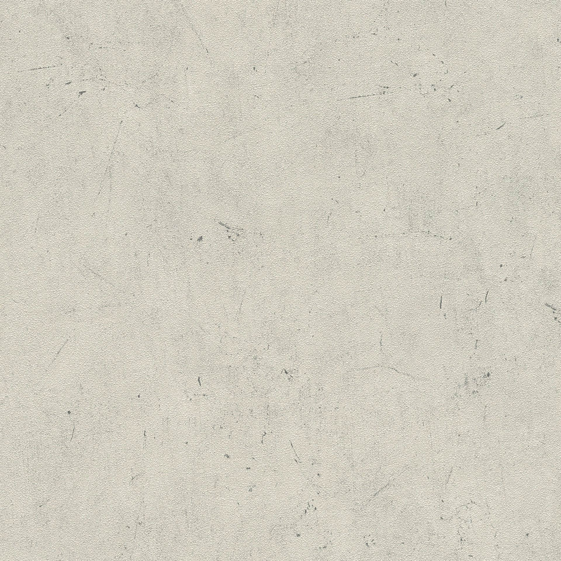 A.S. Création Vliesbehang Beton Concrete & More