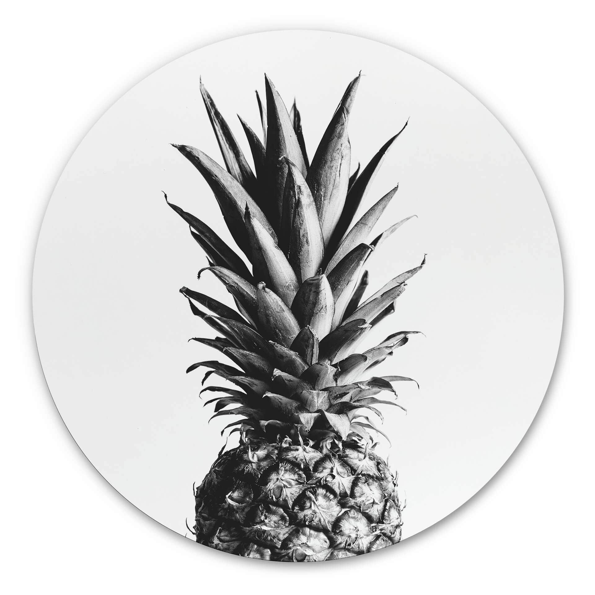 Alu-Dibond 1X Studio - Ananas - tondo