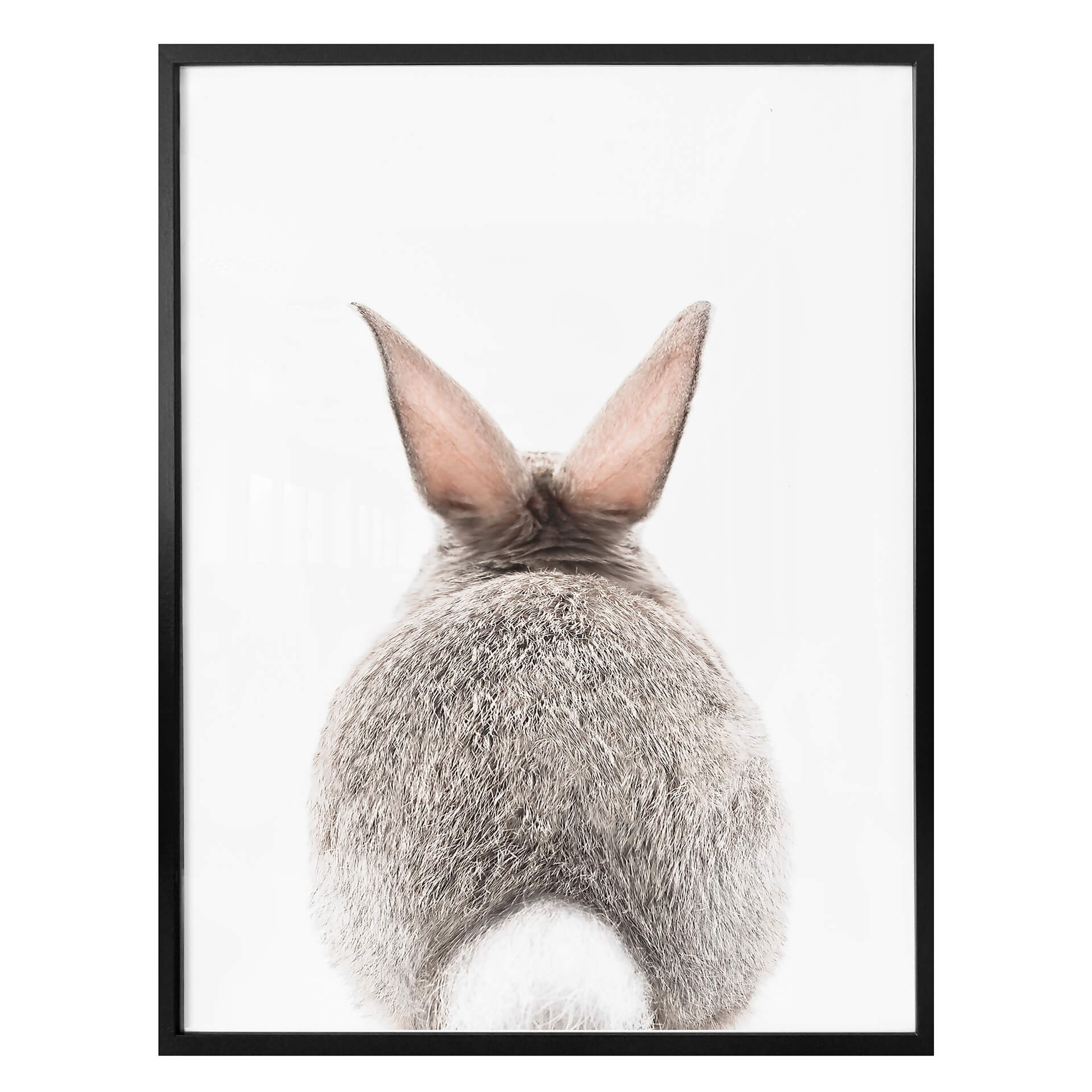 Plakat Sisi & Seb - Bunny bum