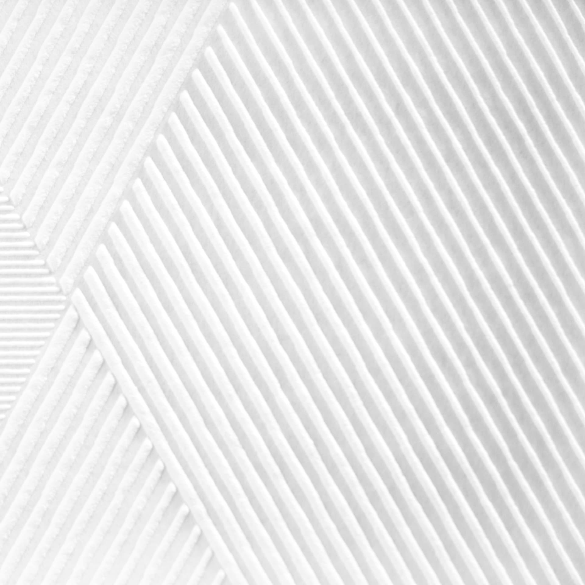 Architechts Paper Pigmenttapet som kan males på, Meistervlies 4 GO, Hvid
