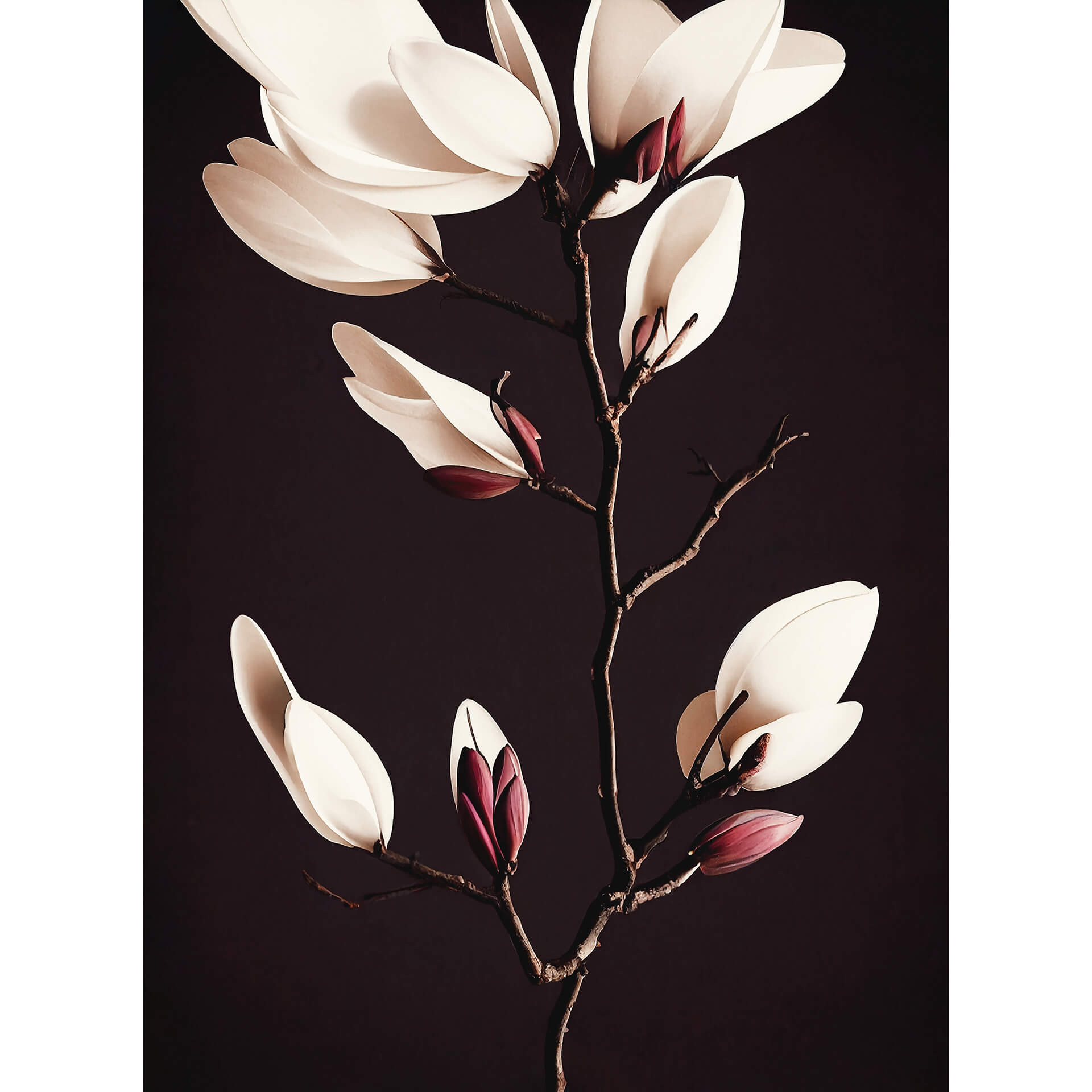 Fotobehang Treechild - Magnolia Blossoms