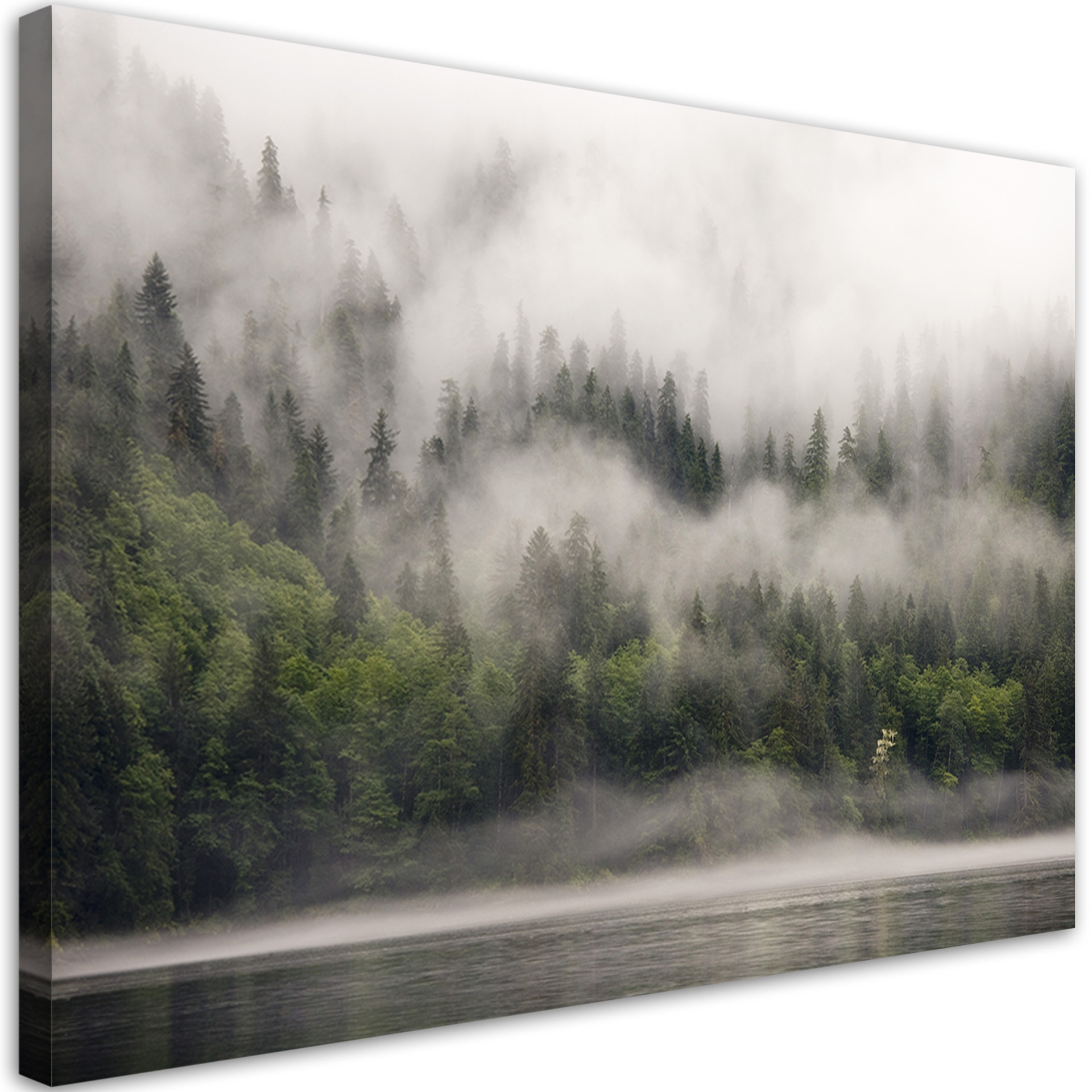 Canvasbillede, Skov i tåge