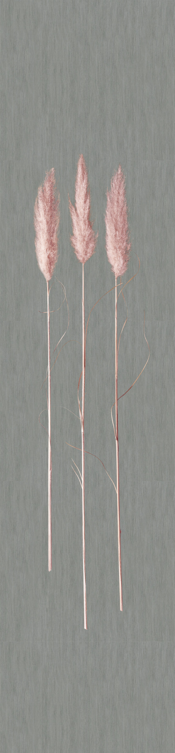 Behang vliesbehang, vliesbehang Natural Opulence Grey Graphic 3.30 x 0.70 cm