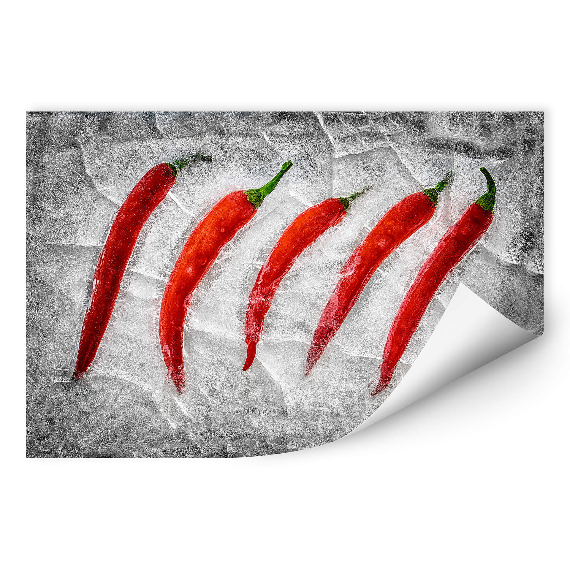 Wallprint Losada - Frozen Fire