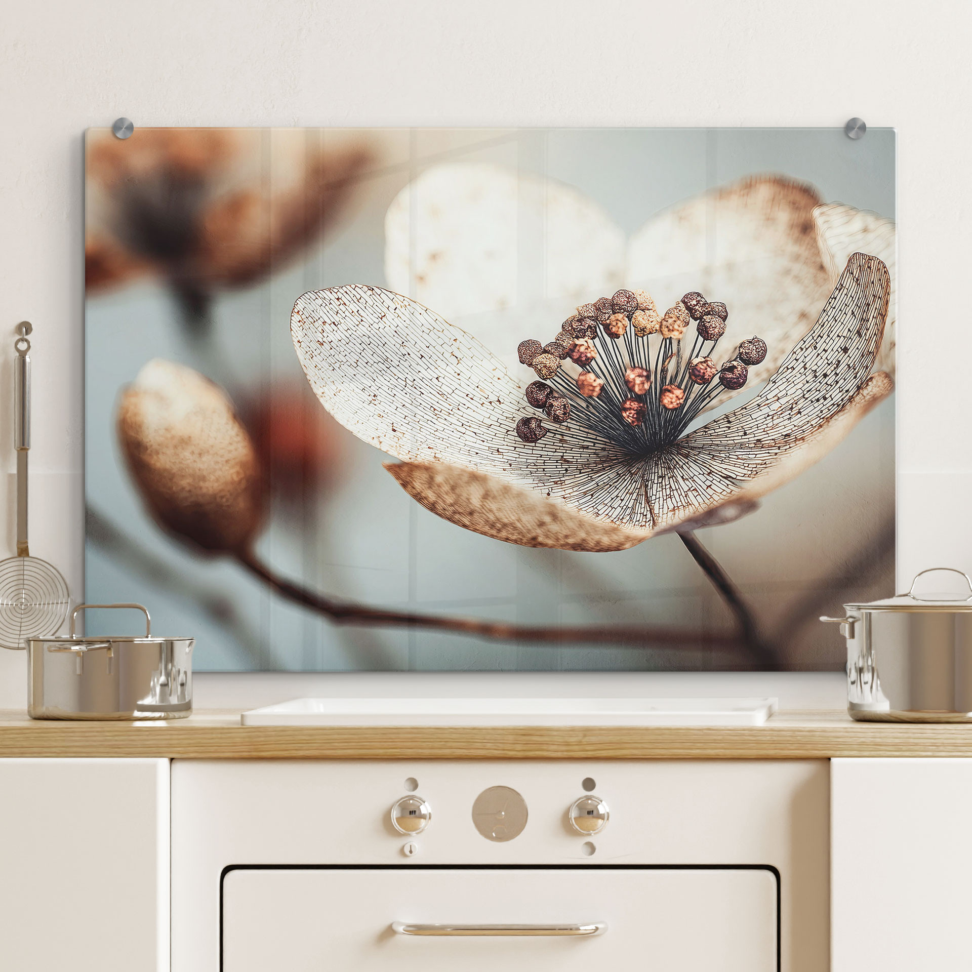 Spritzschutz Boho Trockenblume Makro - Treechild - Panorama