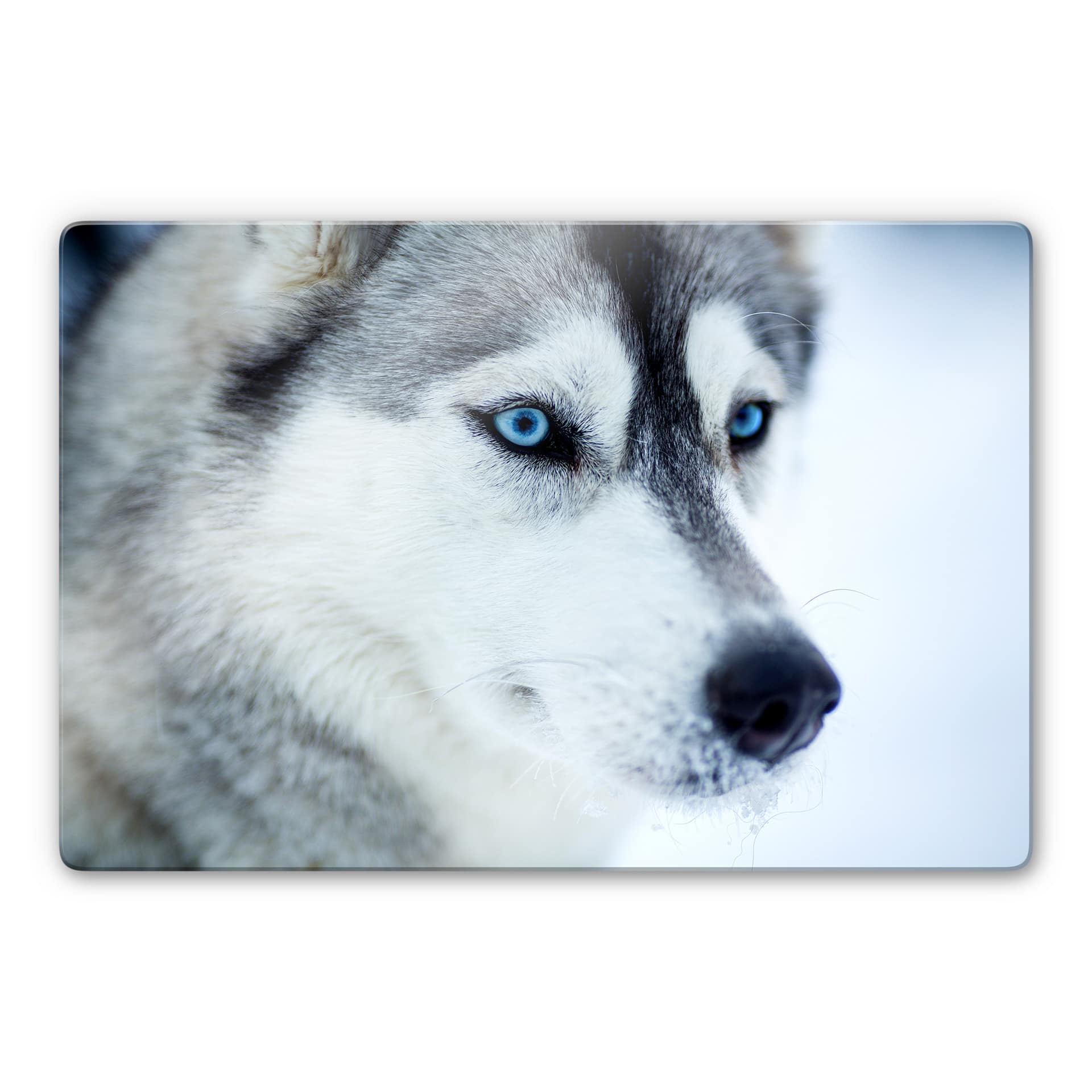 Tableau en verre - Yeux bleus
