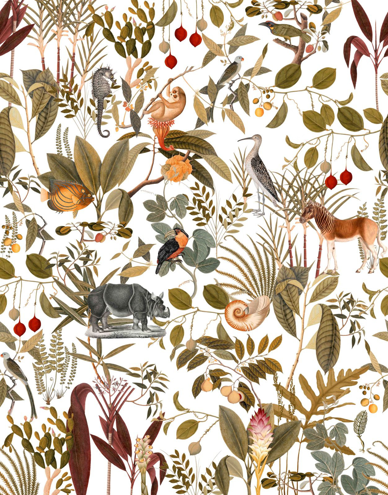 Papier peint photo Collage safari avec okapi, rhinocéros et oiseaux sur fond clair 2,7 x 2,12 m