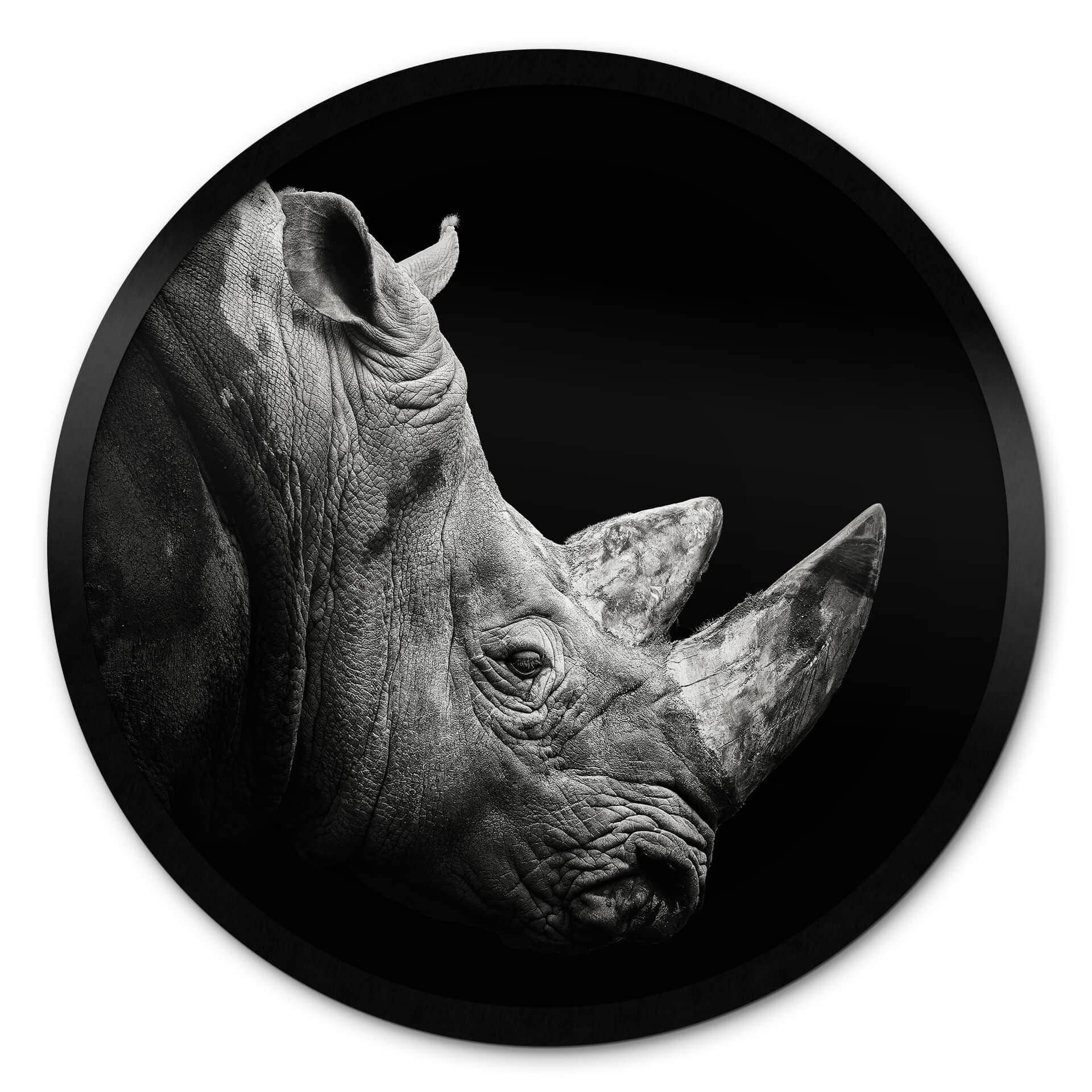 Poster Merman - Le rhinocéros