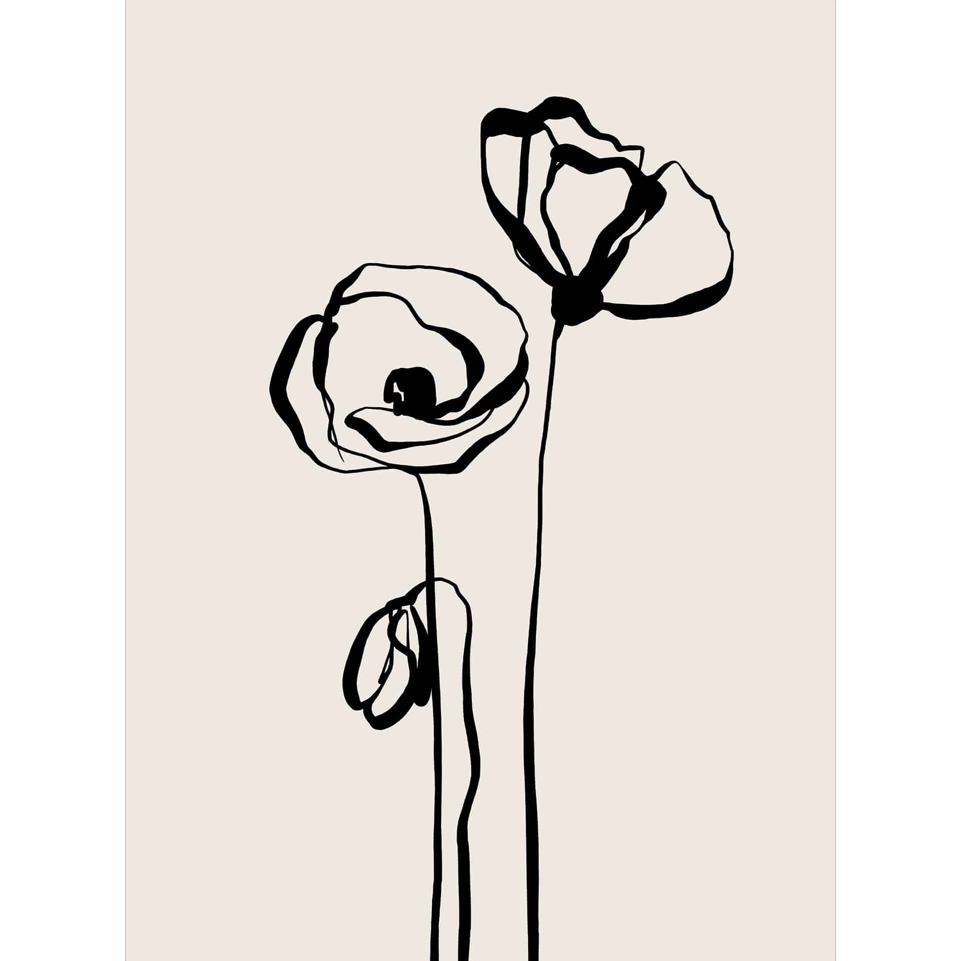 Bloemen Fotobehang Lijn Art Twee Klaprozen - Cats & Dotz