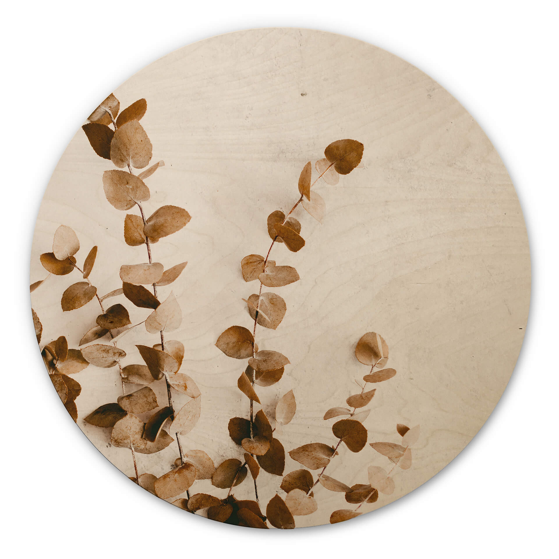 Stampa su legno Annie - Foglie secche