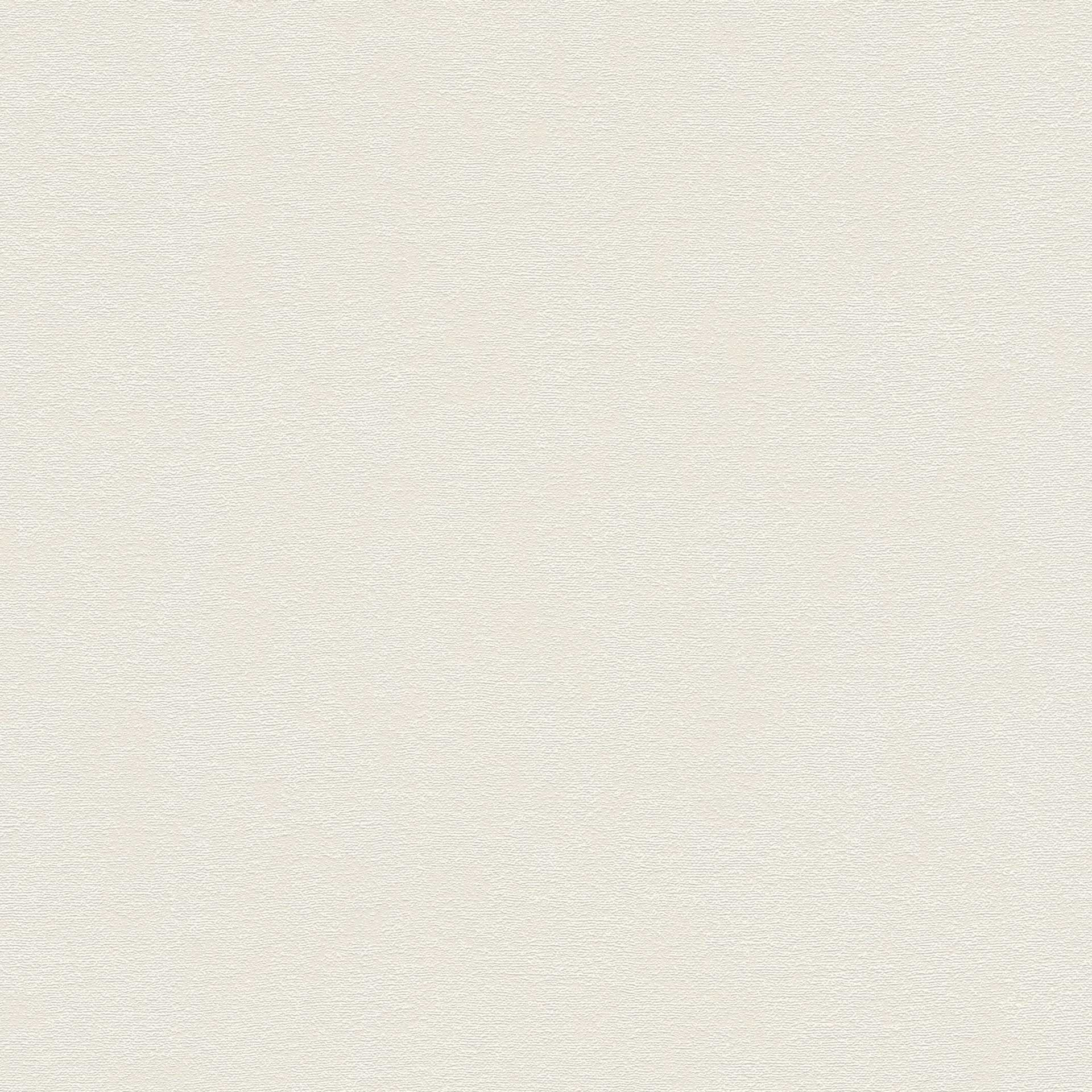 Próbki