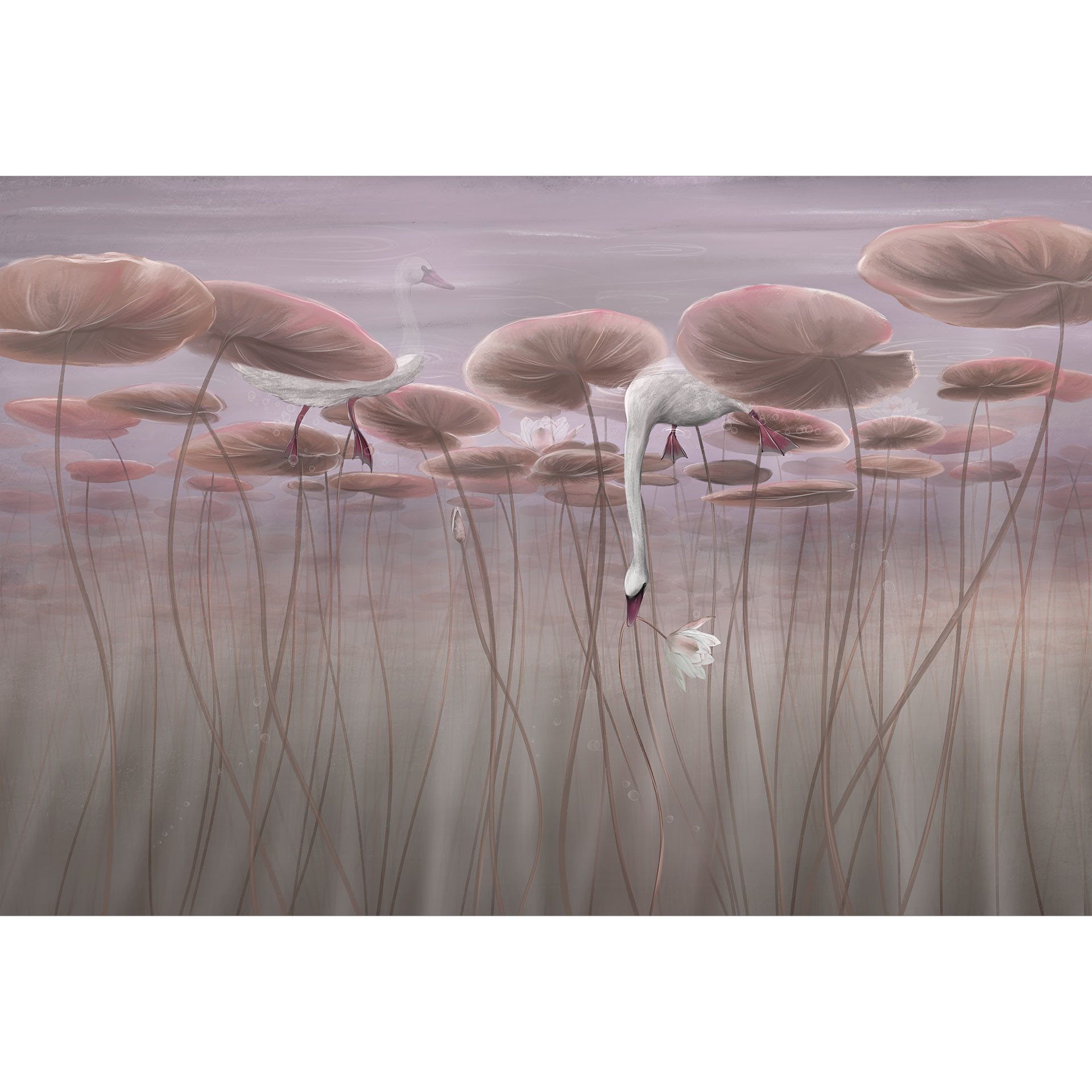 Natuur Fotobehang lotusbloemen met zwaan in het water in donkerroze - Ms Tiff