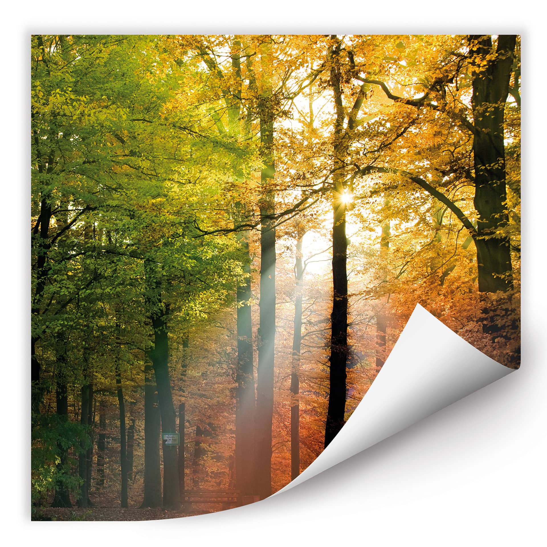 Poster autocollant - W - Un Jour d'Automne