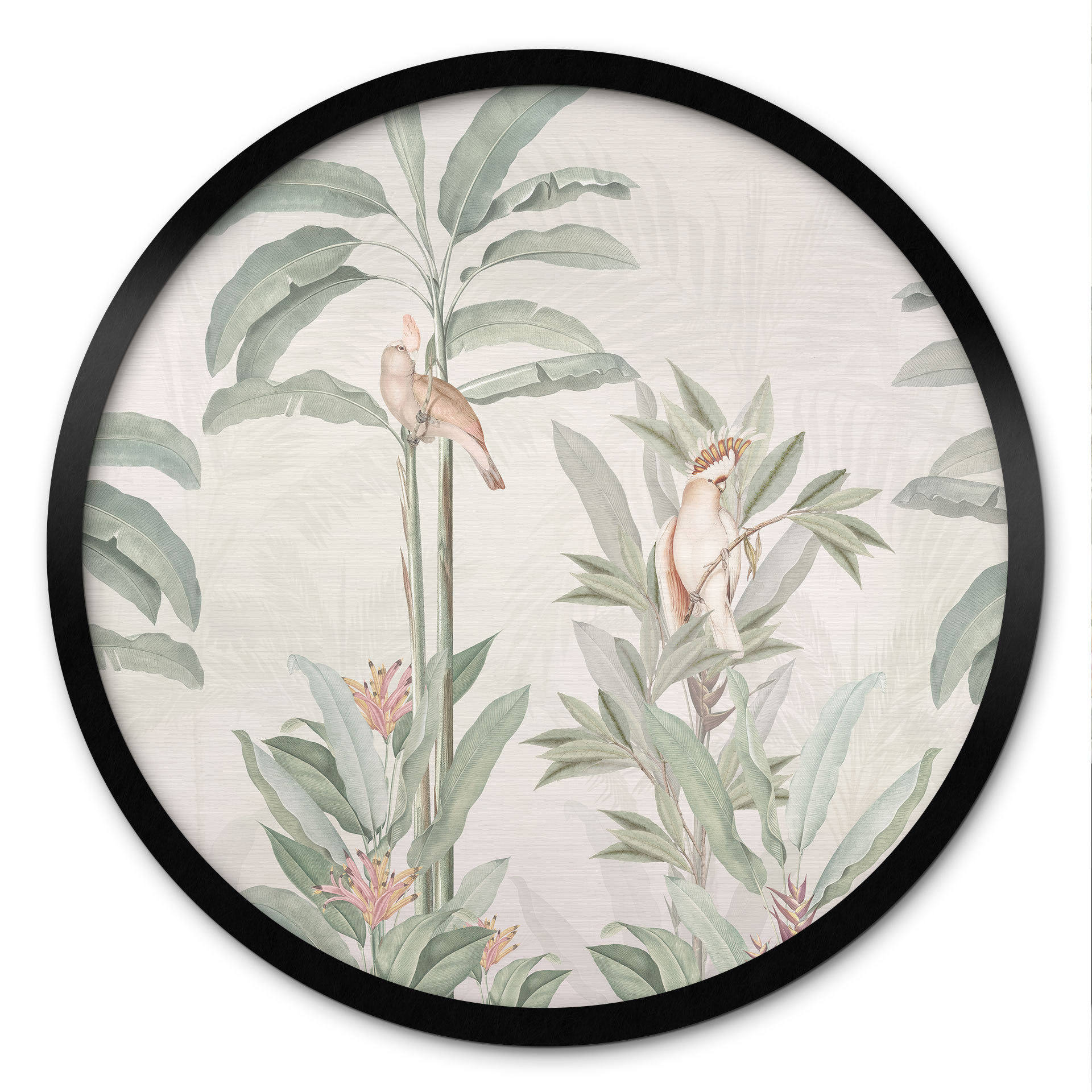 Poster Forêt tropicale avec cacatoès - Bloomery Decor - Rond
