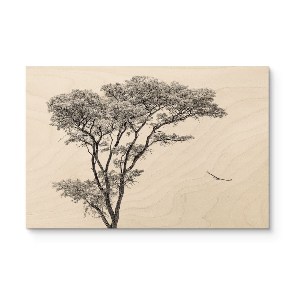 Stampa su legno Albero minimalista in un paesaggio tranquillo - Farina