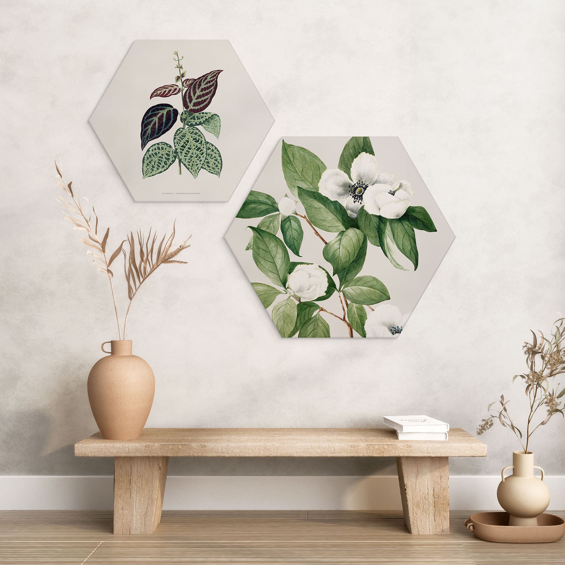 Hexagon Wandbild Botanik Illustration einer Scheinkamelie - Walcott - Alu-Dibond