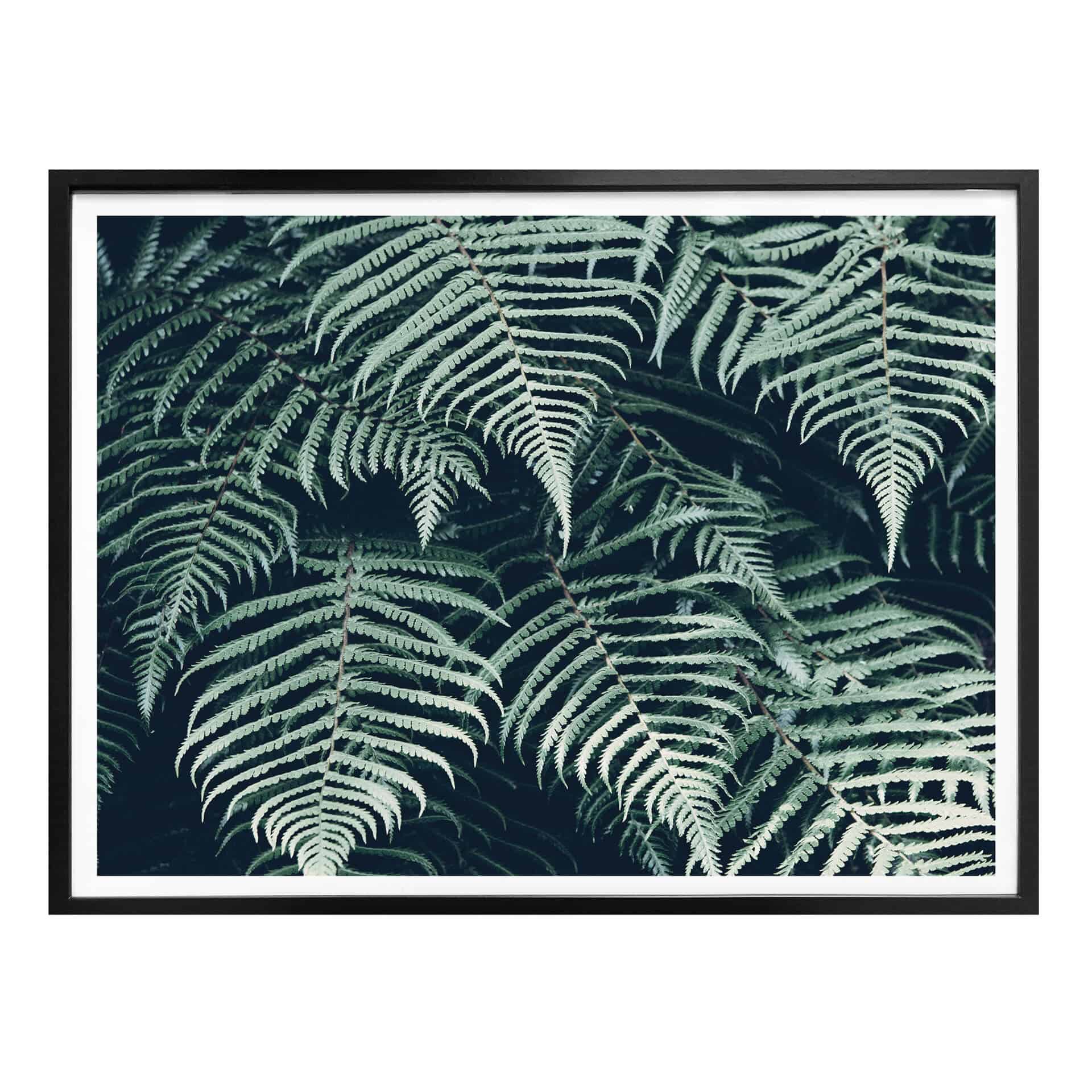 Poster Farn 02