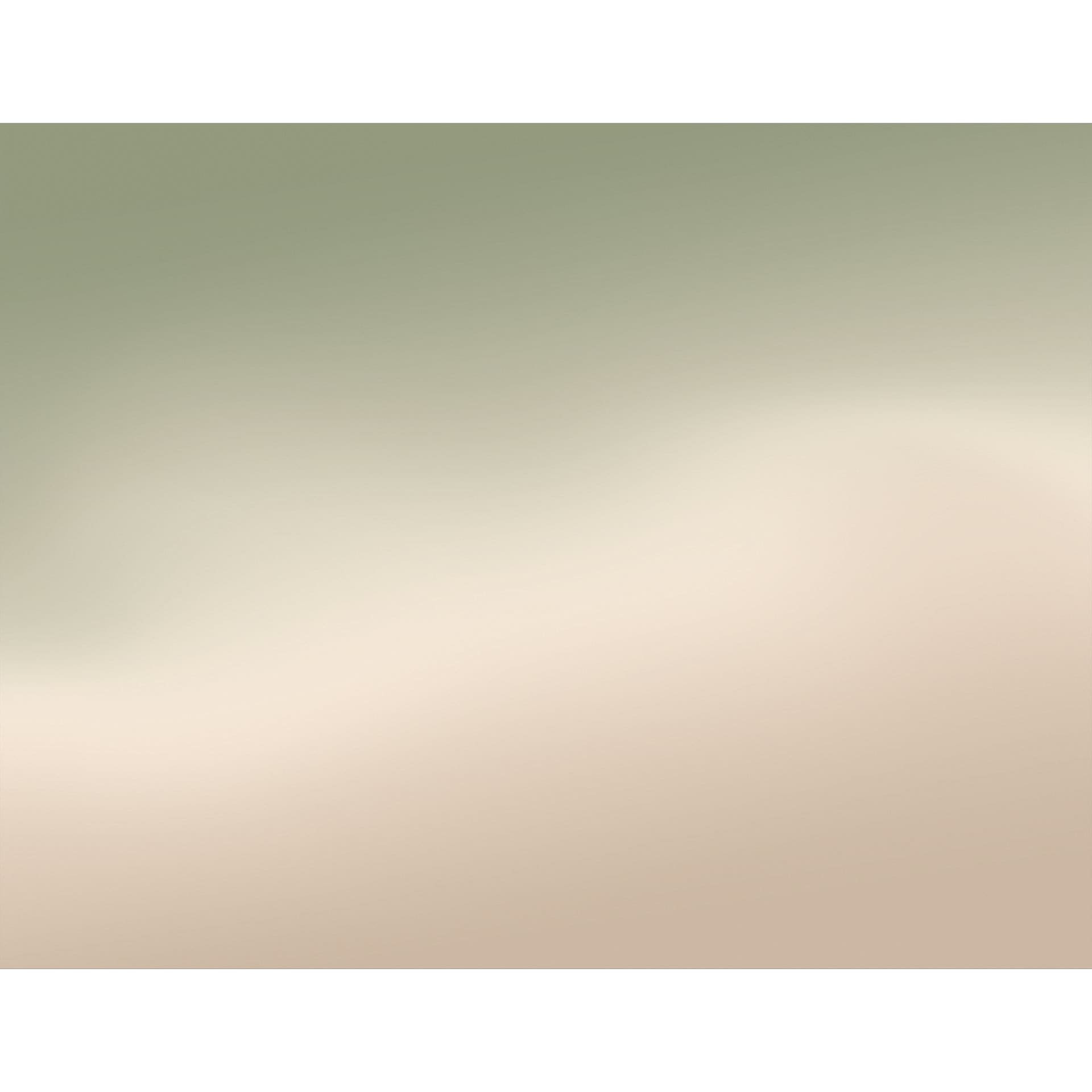 Fotobehang Ombre - Bosmist