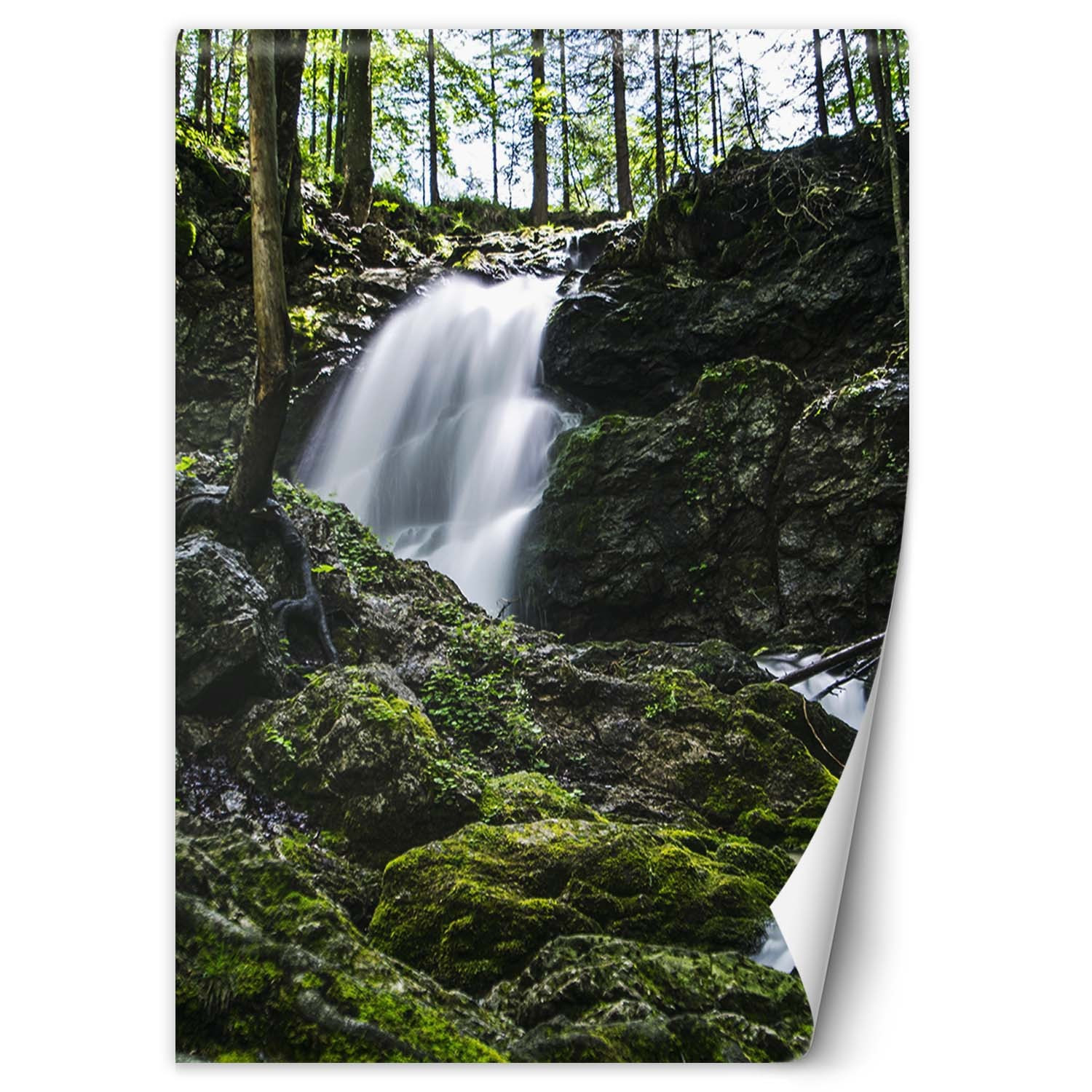 Fototapete, Wasserfall im Wald