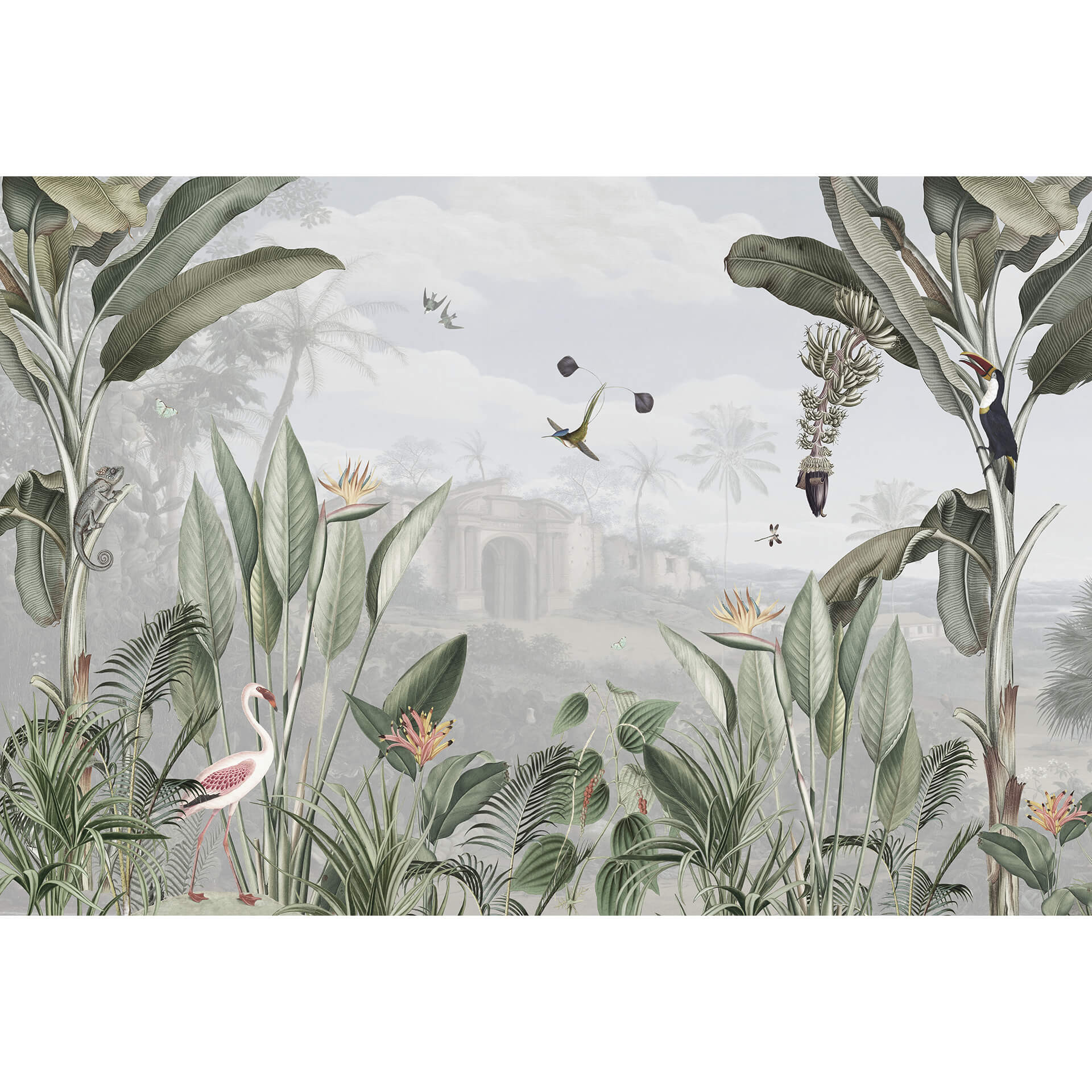 Fotobehang Sir Edward - Botanical