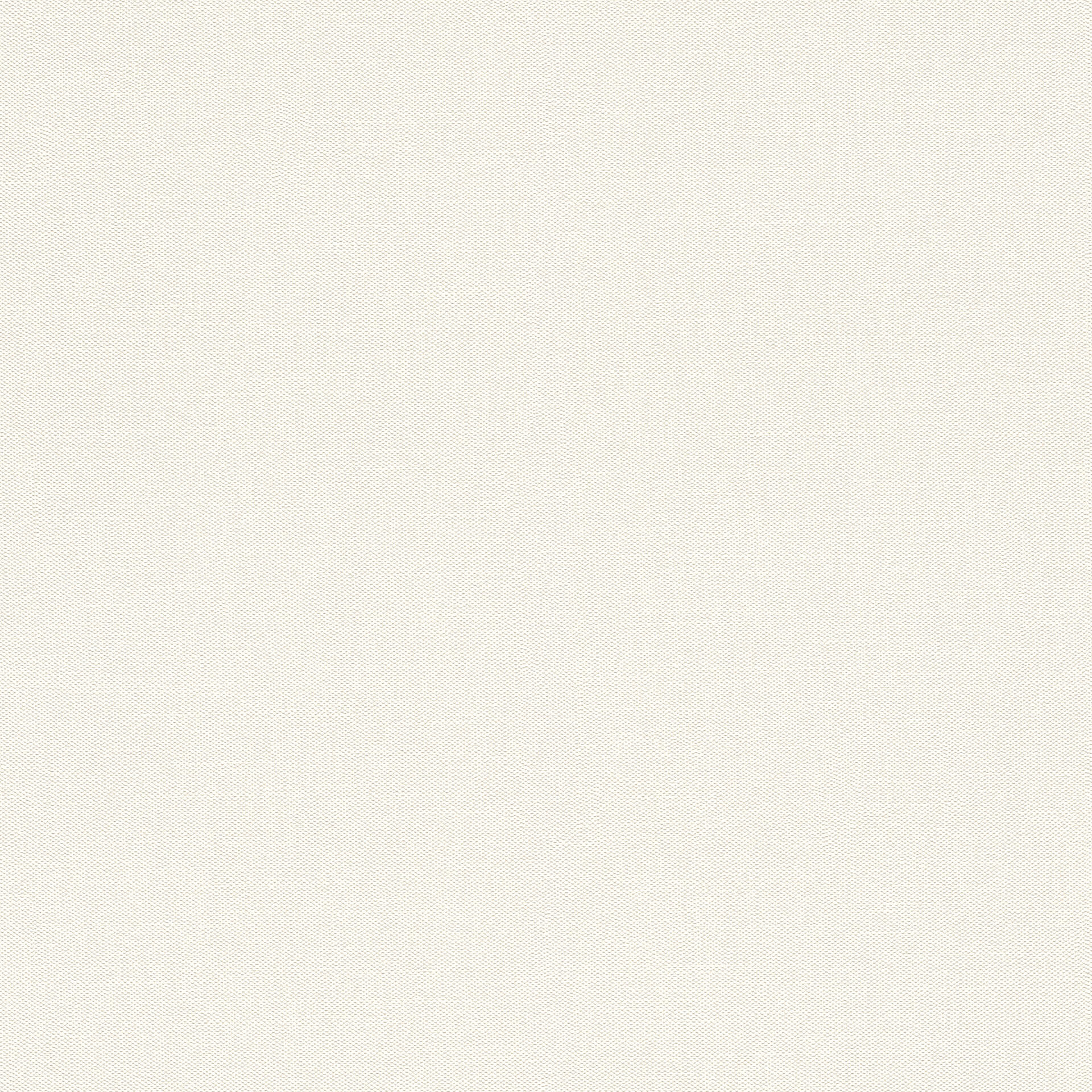 Rasch Vliesbehang Wallpaper
