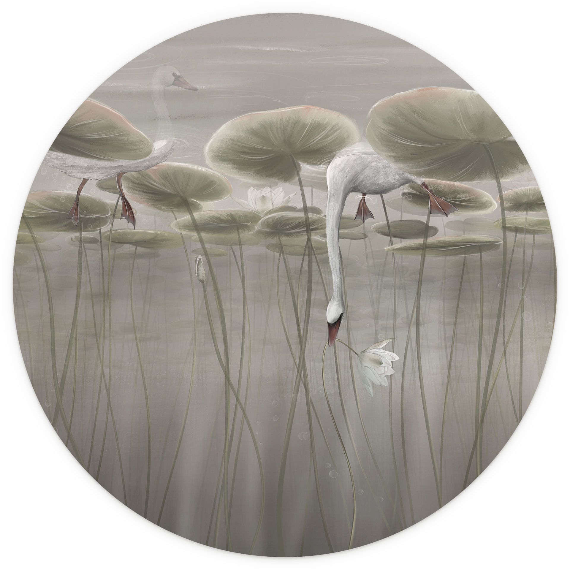 Lotusbloemen met zwaan in het water in grijs - Ms Tiff - Rond - Zelfklevend/niet-geweven