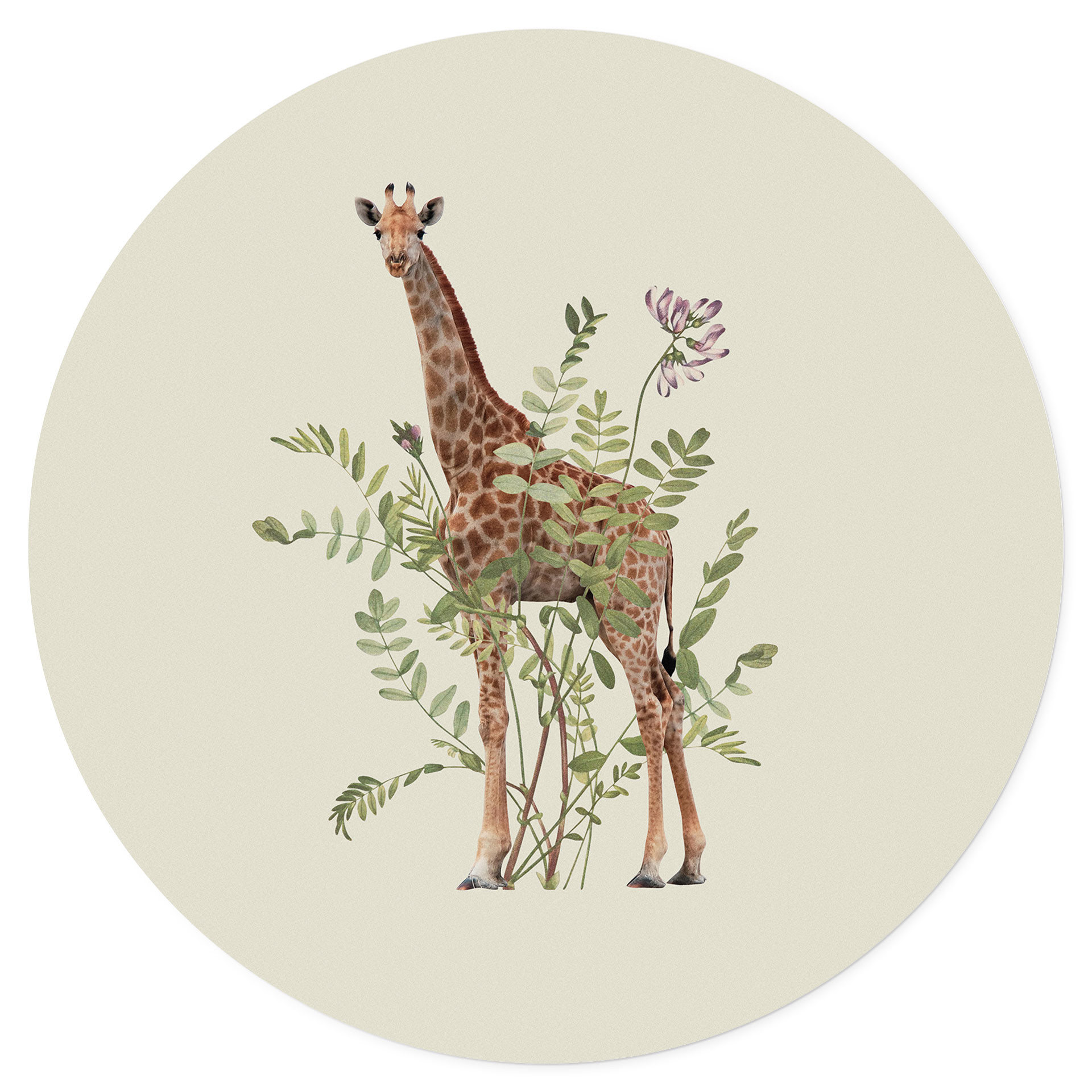 Wandtattoo Florale Giraffe - Frida Floral Studio - Rund