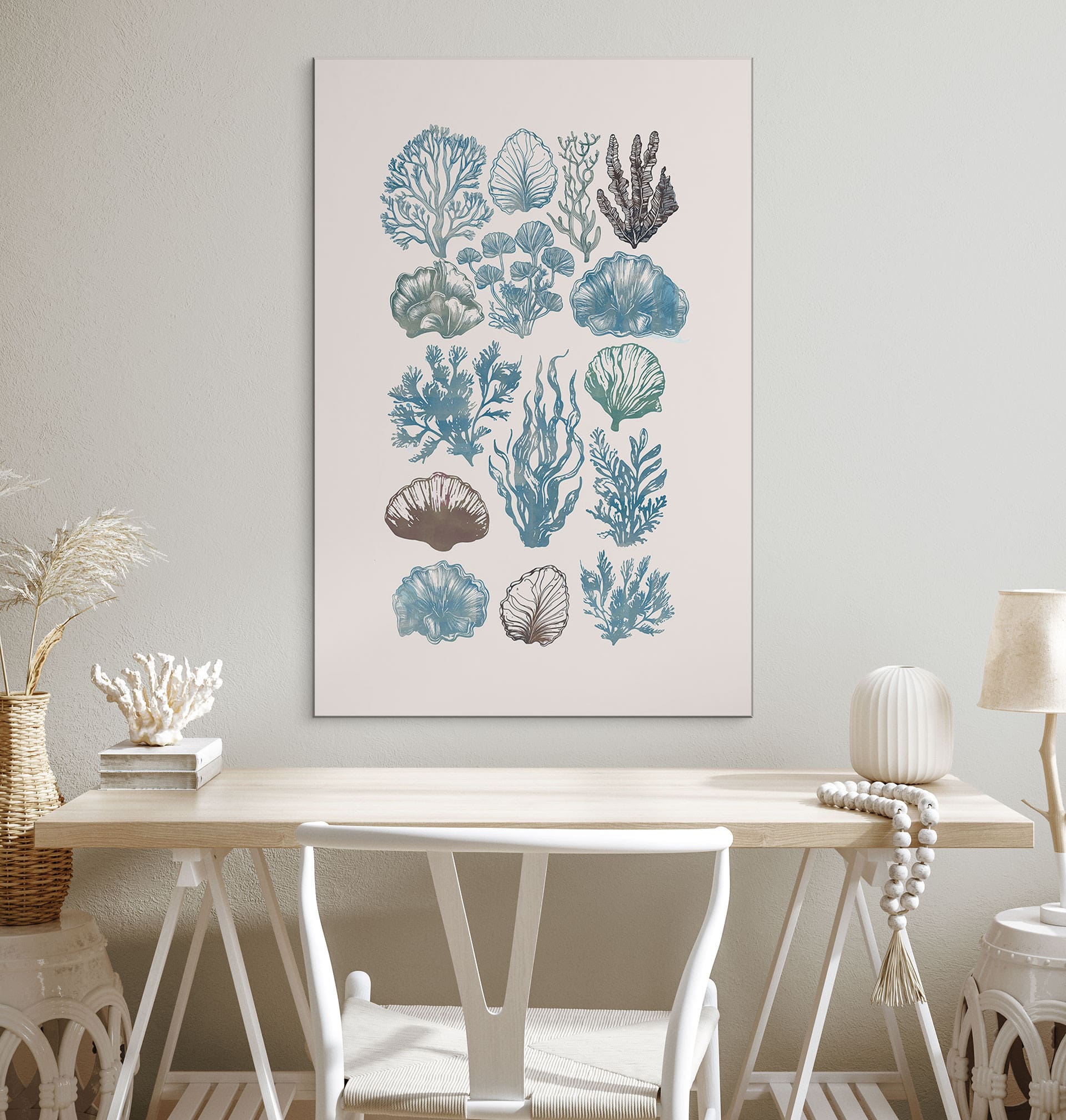 Billede Filigran alger og skaller - casa cartissi – print på aluminium (Alu-Dibond)