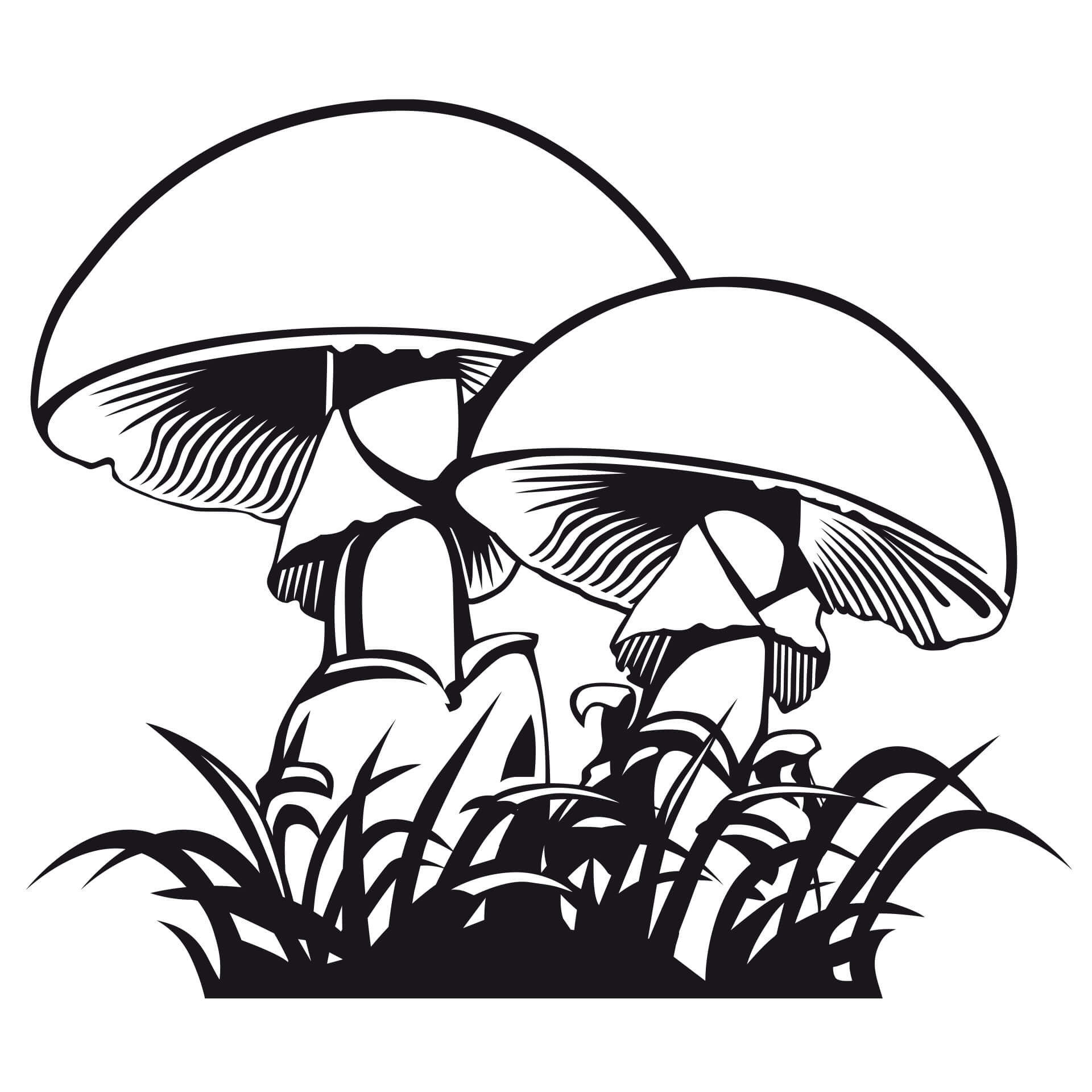Wallsticker Champignon