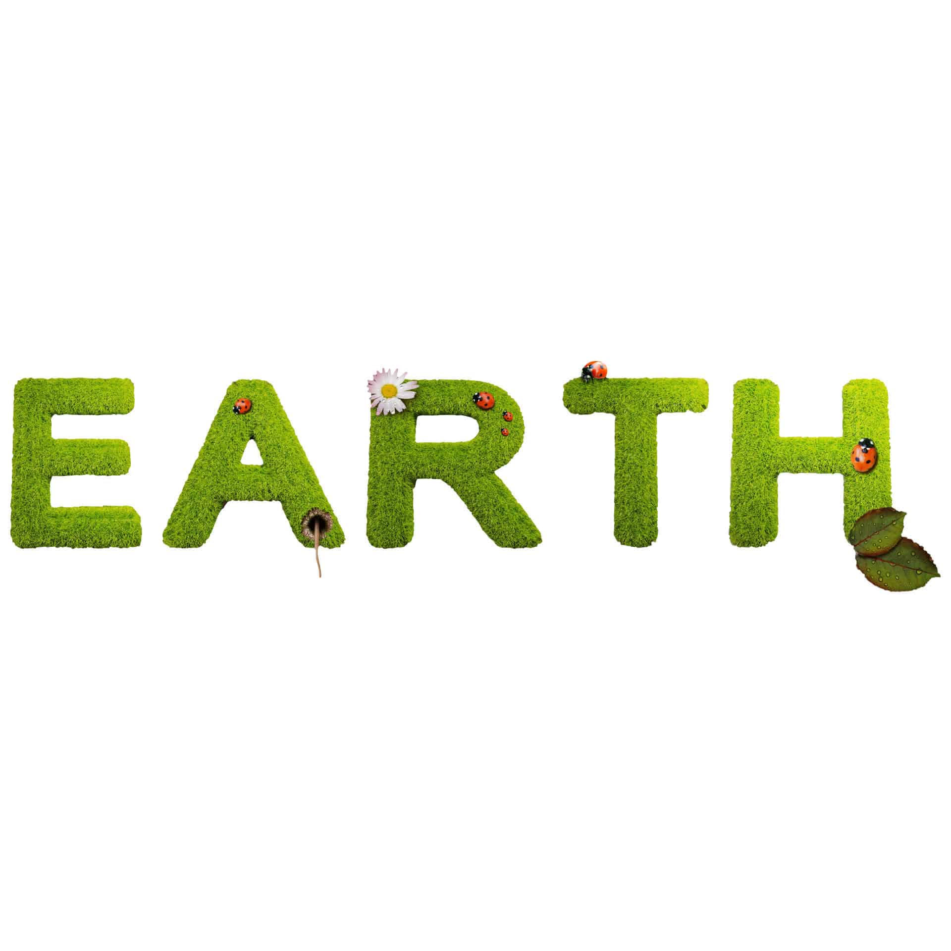 Wallsticker - Earth