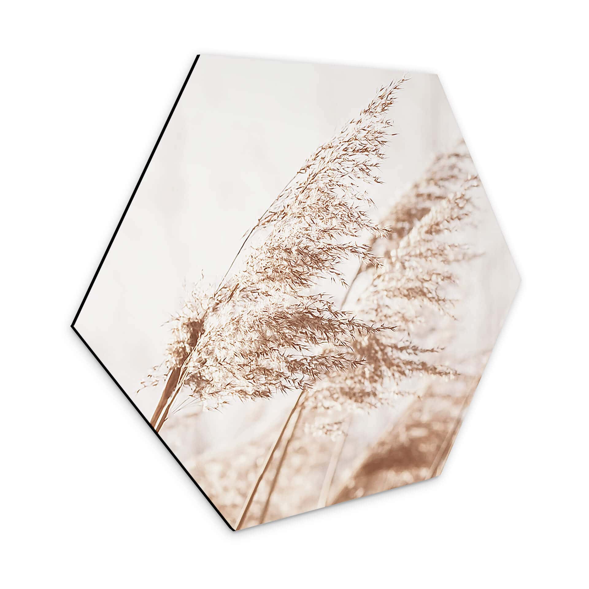 Hexagon Dibond Windy Grass