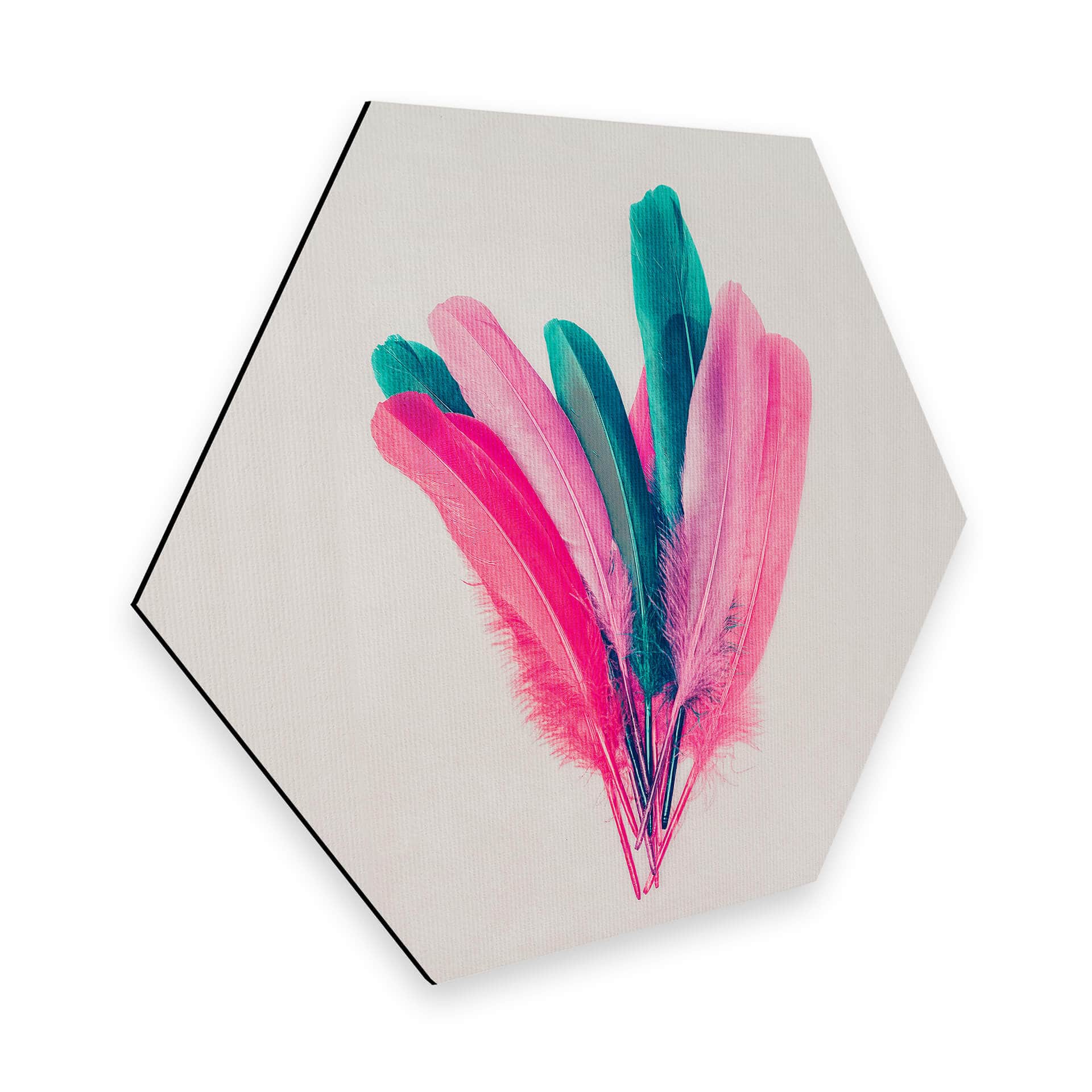 Hexagon Dibond Kubistika - Bouquet of Feathers