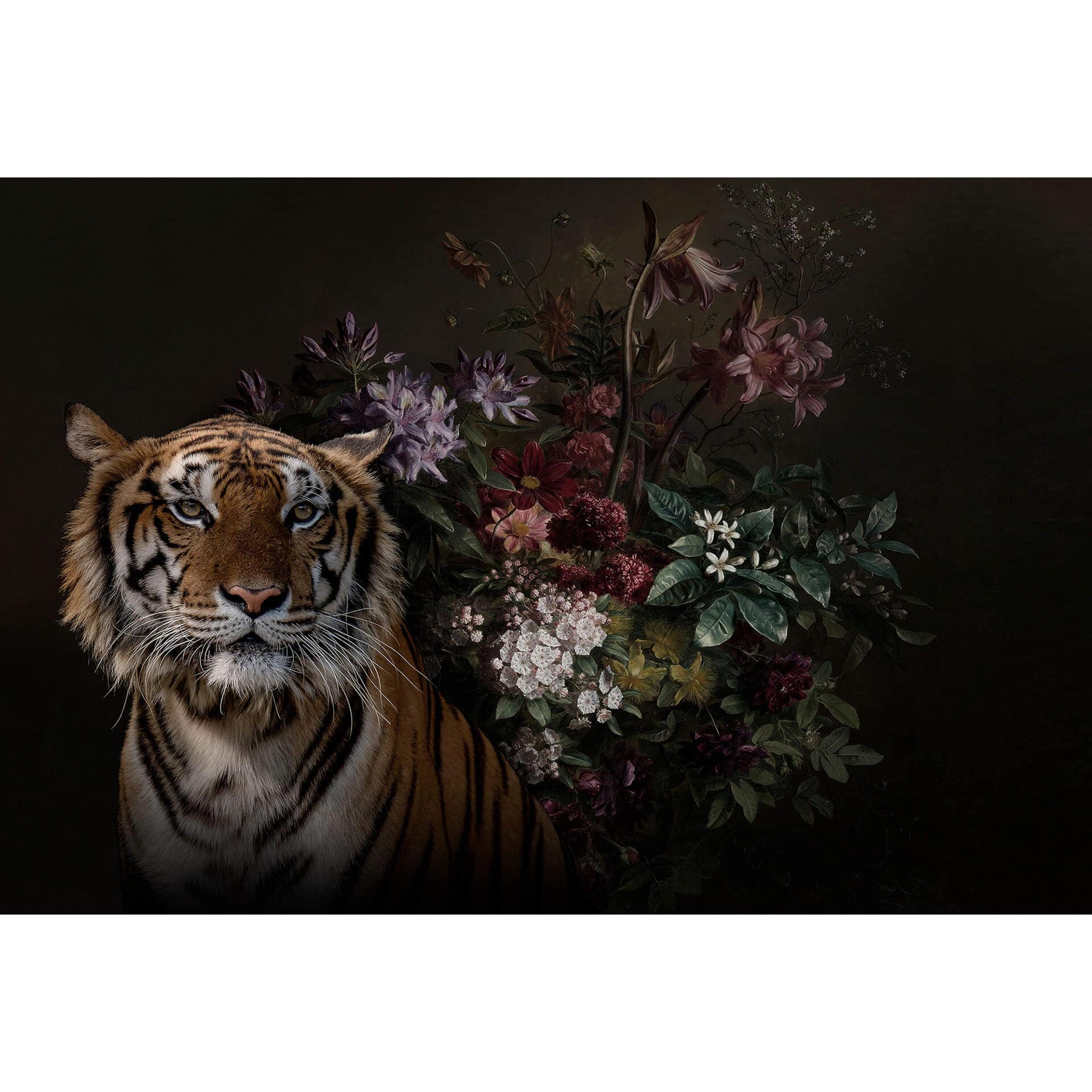 Livingwalls Fotobehang Walls by Patel wildlife 1