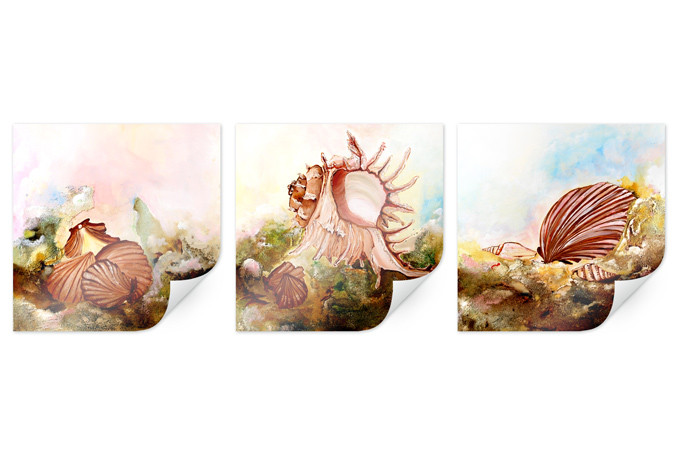 Poster Fedrau - Muscheln 02 (3-teilig)