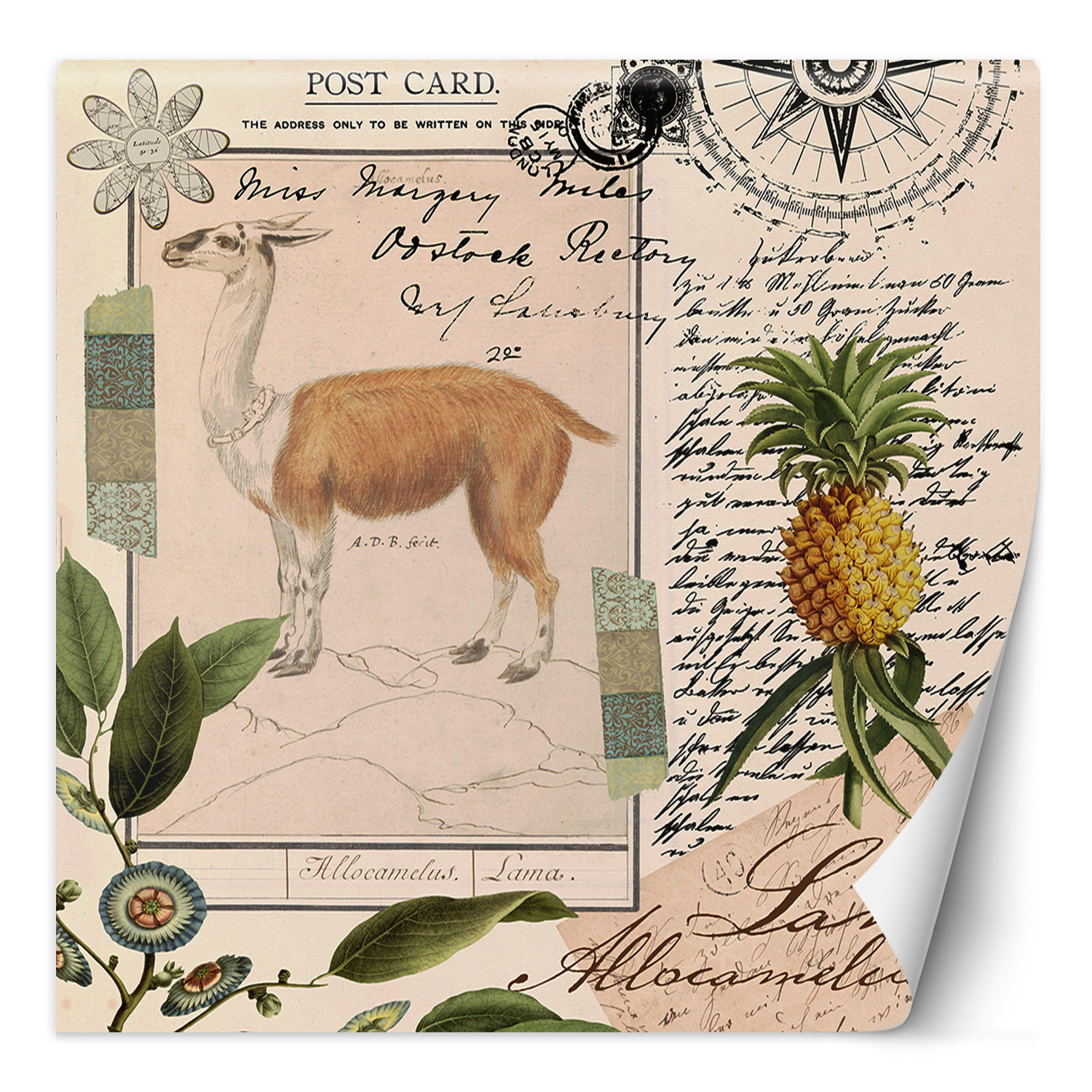 Fototapete, Shabby Chic Stil Lama Natur Abstraktion Tropisch - Andrea Haase