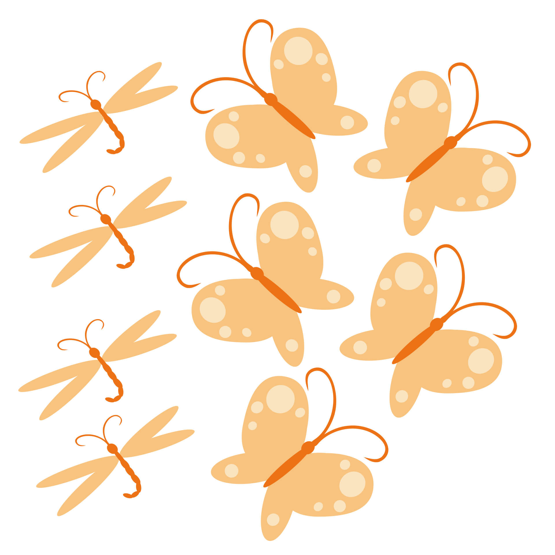 Wallsticker Budbringere af forårets orange farver