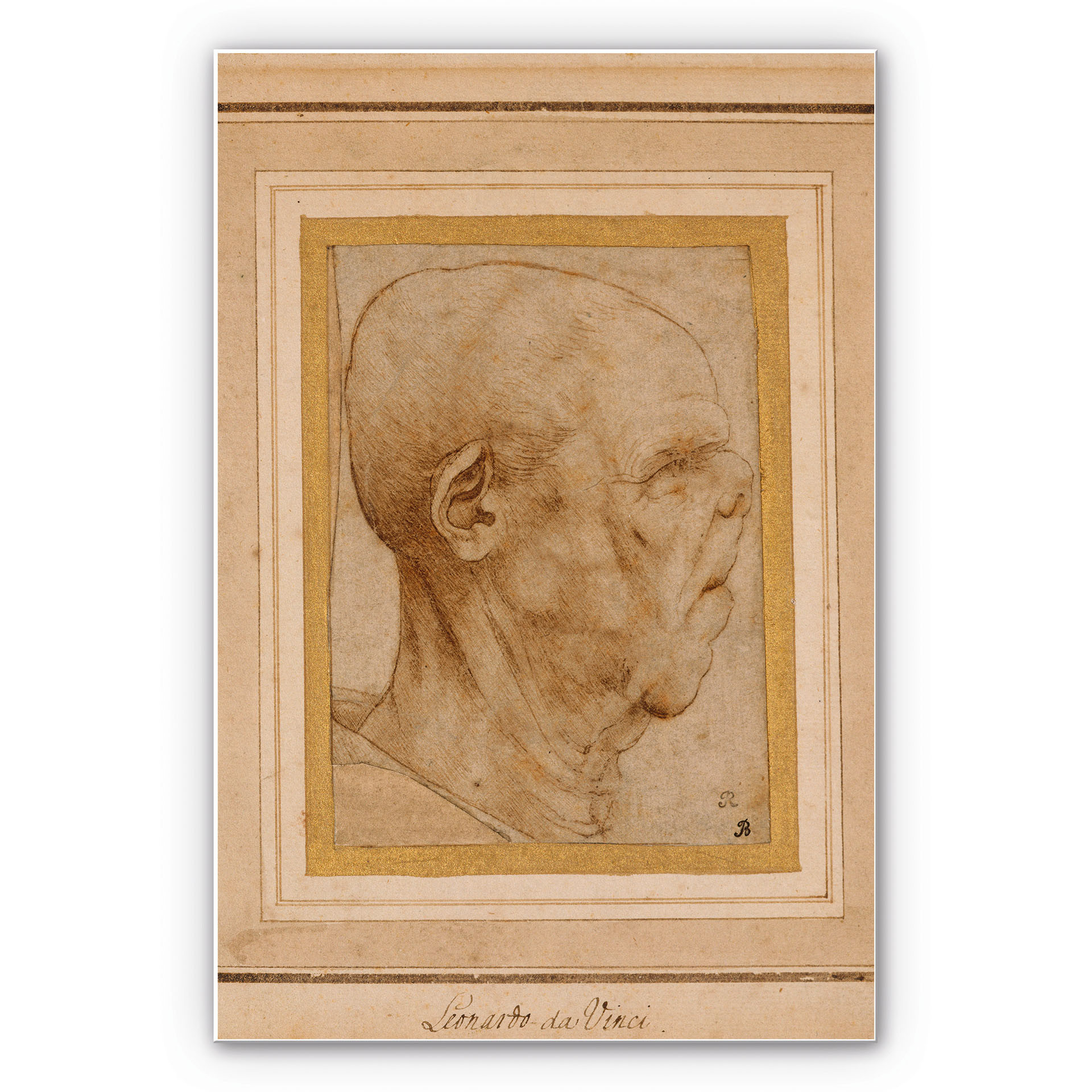 Tableau Forex - De Vinci - Caricature d'une tête d'homme