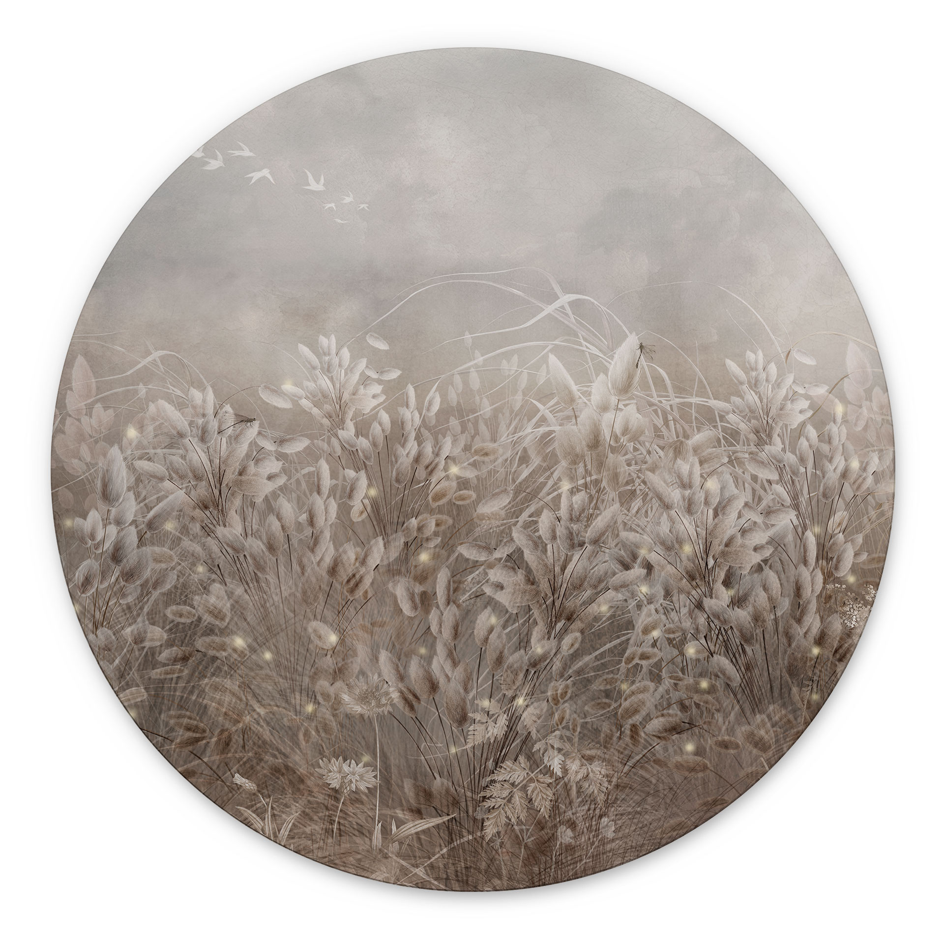 Wanddecoratie Pampasgras en grassen in beige - Ms Tiff - Alu-Dibond Rond