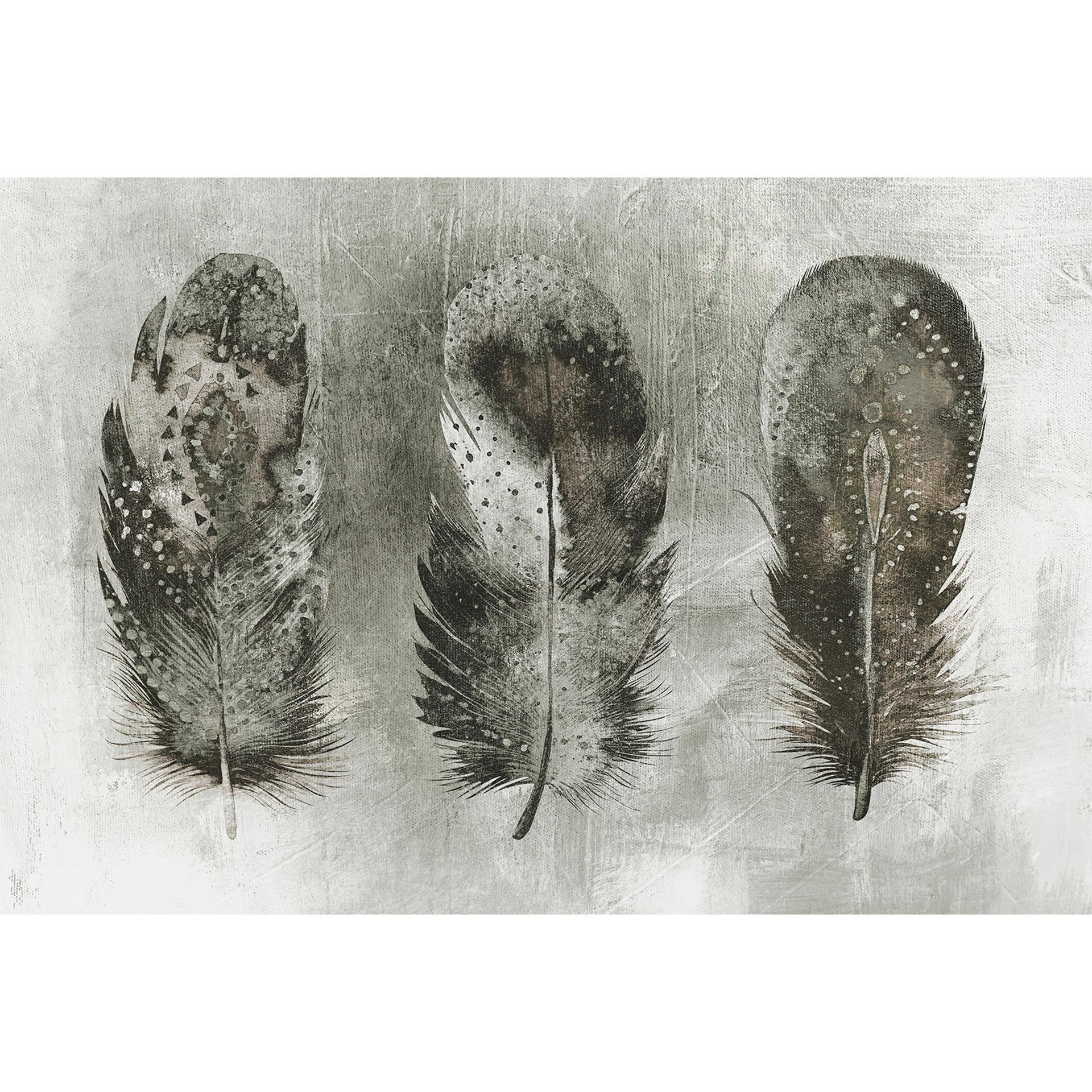 Architects Paper Papier peint photo Atelier 47 Motley Feather avec plumes gris, noir