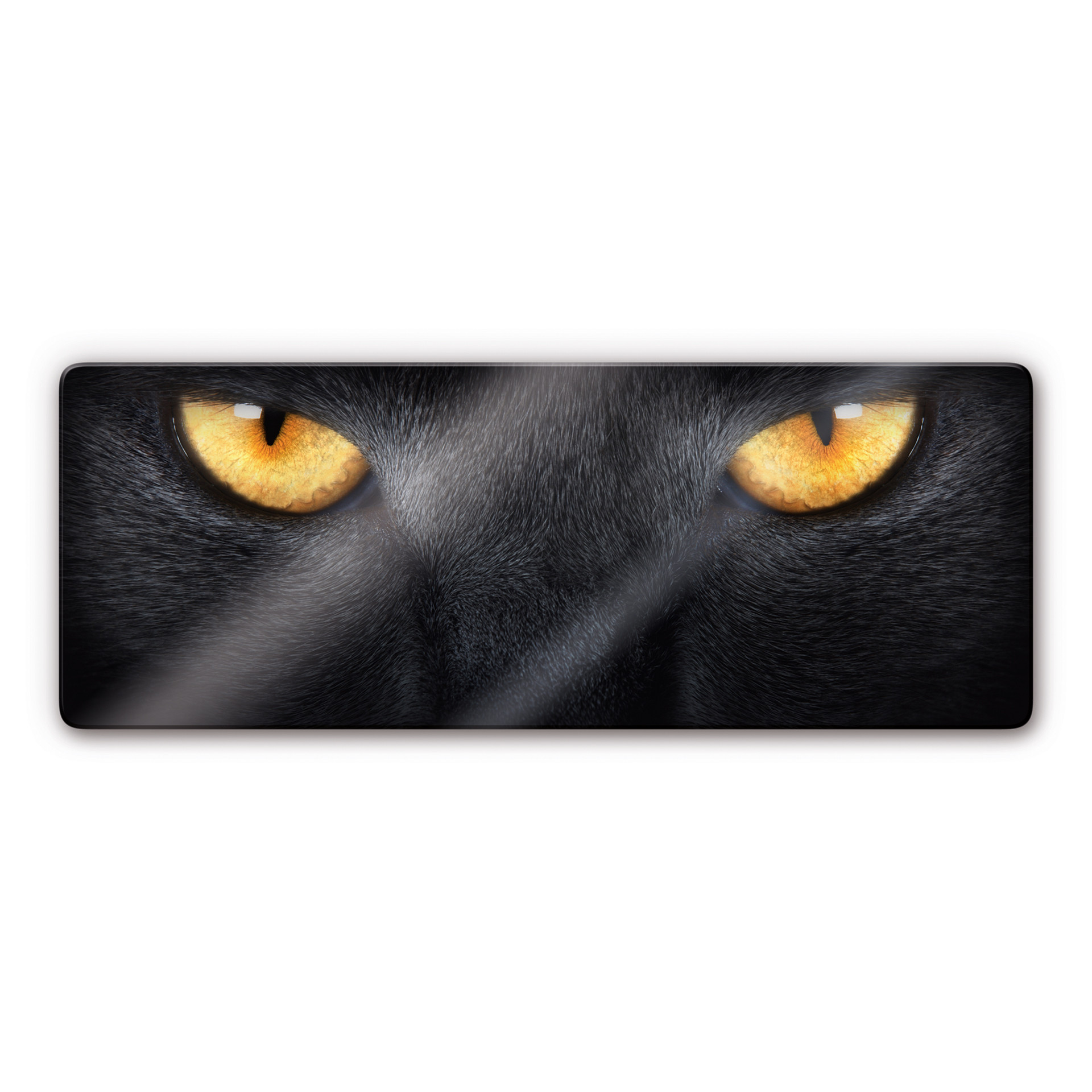 Glasbild Katzenaugen - Panorama