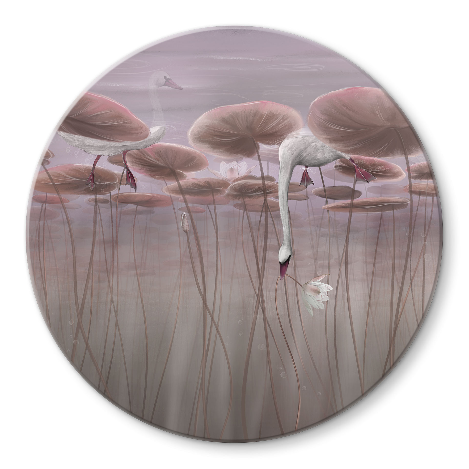 Glasschilderijen Lotusbloemen met zwaan in water in donkerroze - Ms Tiff - Rond