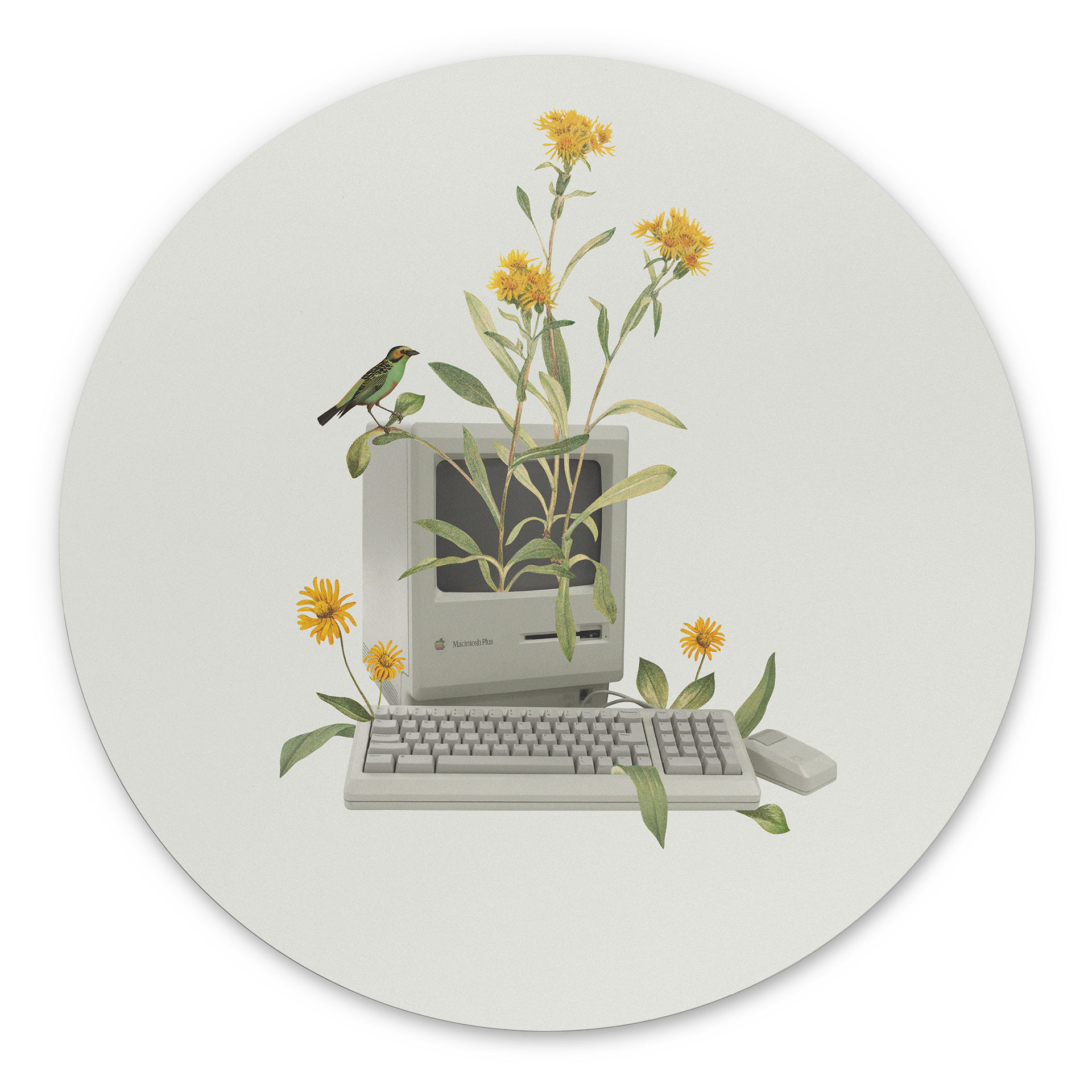 Wandbild Vintage Botanik-Computer - Frida Floral Studio - Alu-Dibond - Rund