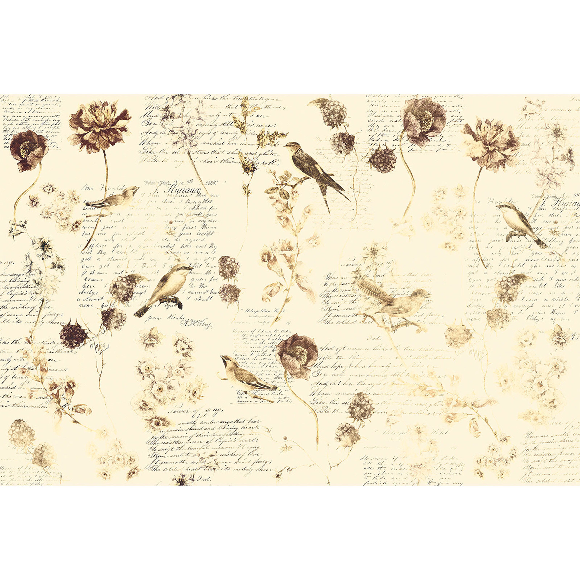 Architects Paper Papier peint photo Atelier 47 Bird Poetry motif animalier