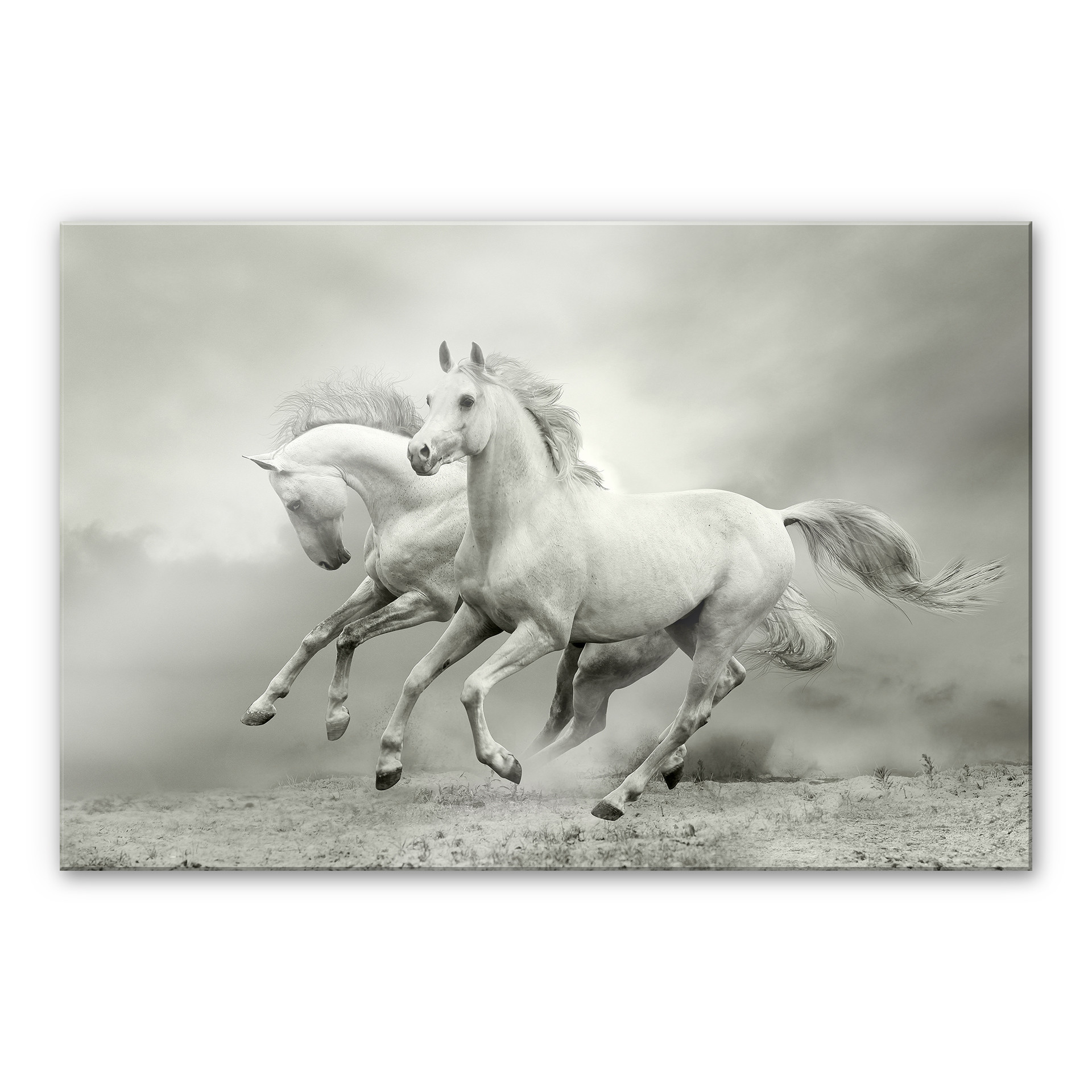 XXL Billede Heste i galop