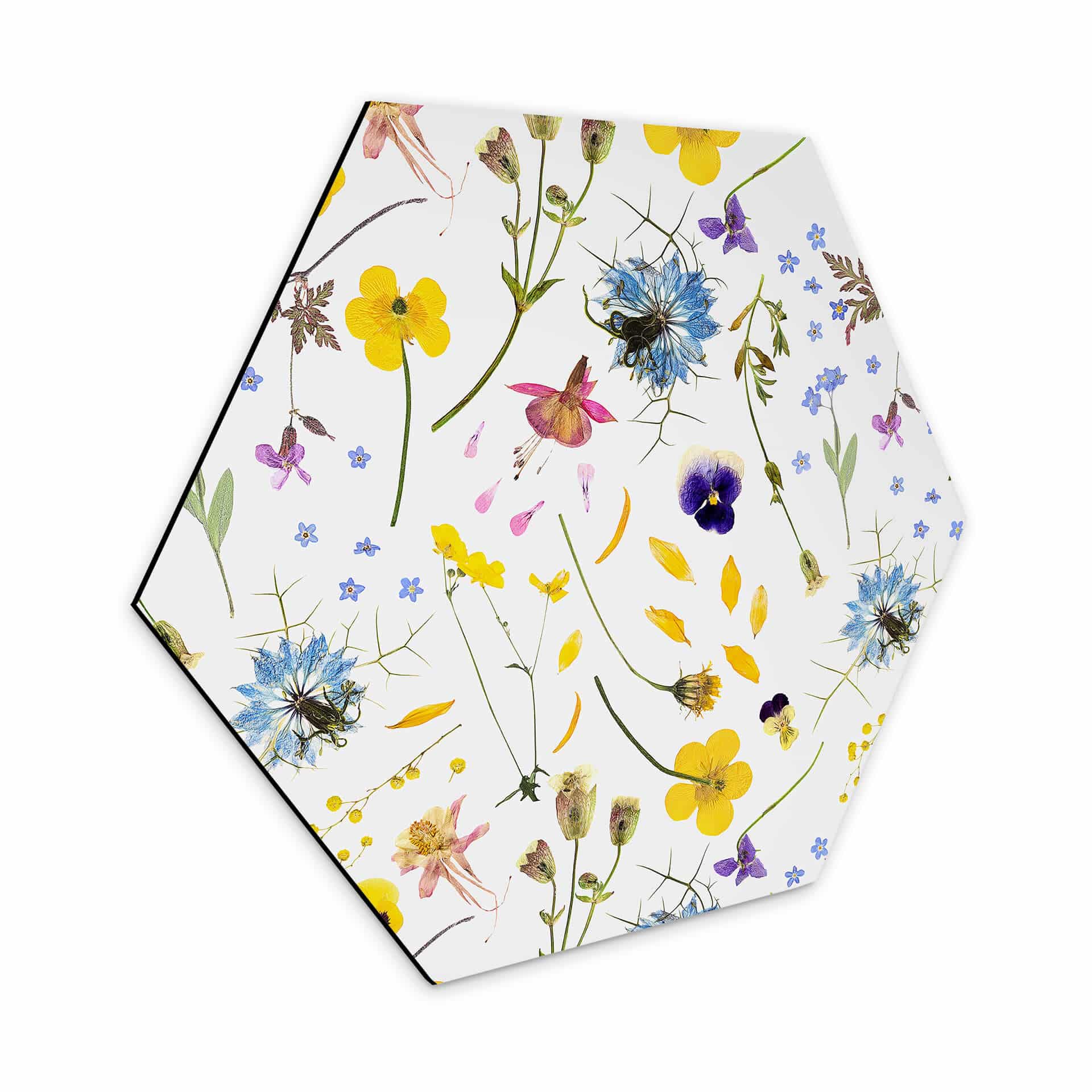 Hexagone - Alu-Dibond UN Designs - Fleurs séchées